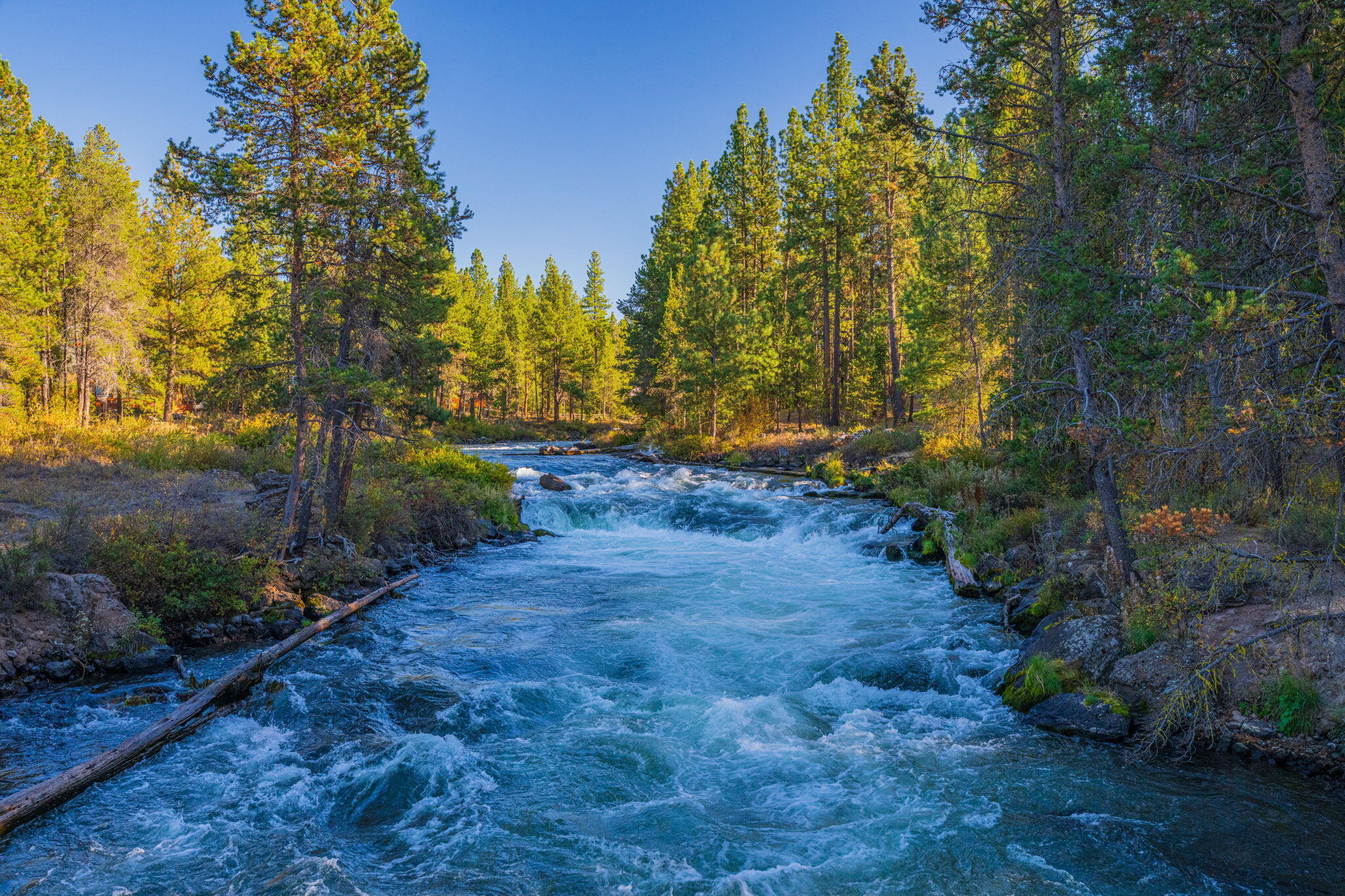 Wild River - Land