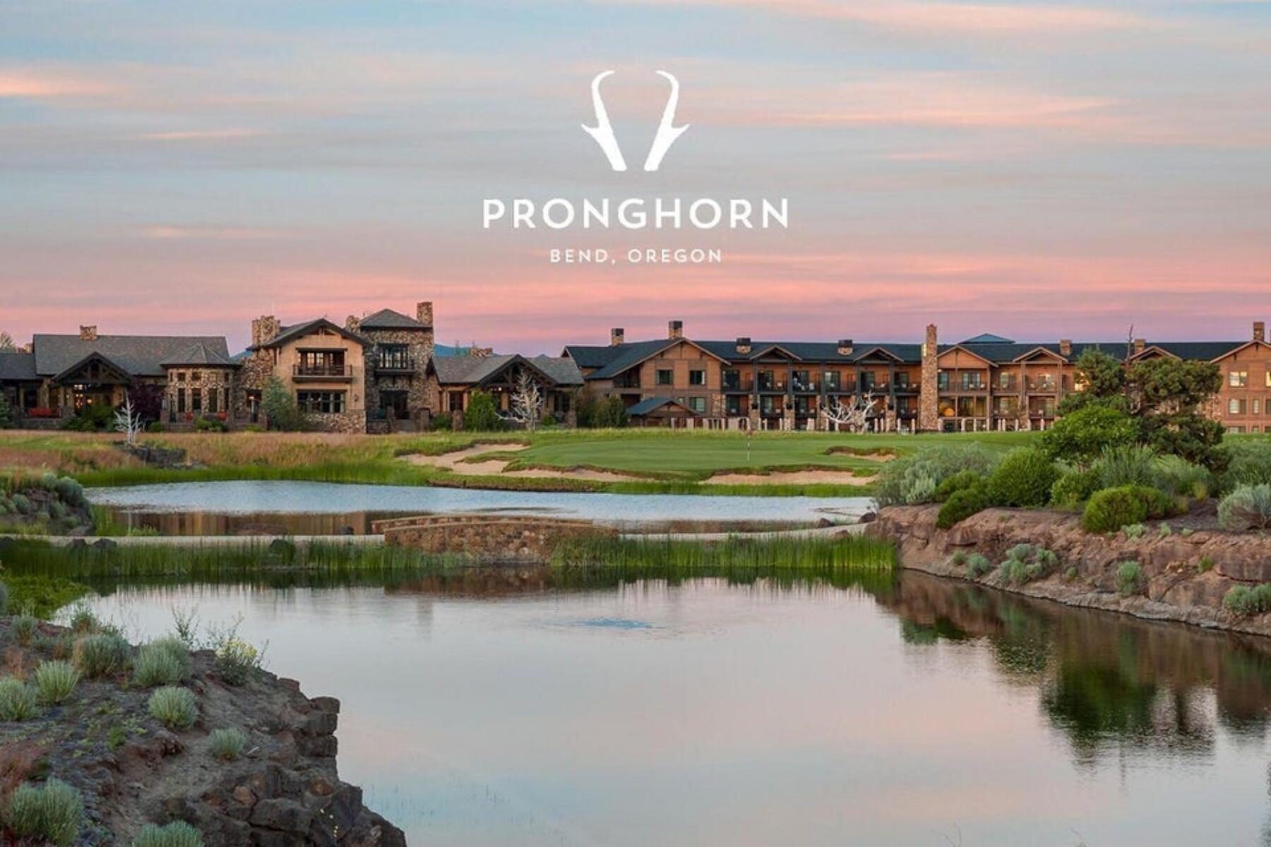 Pronghorn - Land