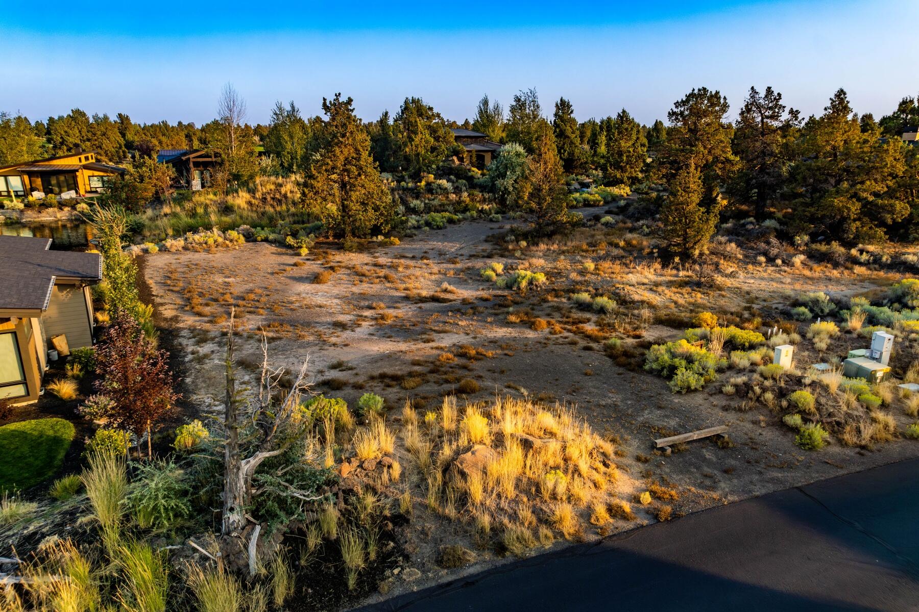 Pronghorn - Land