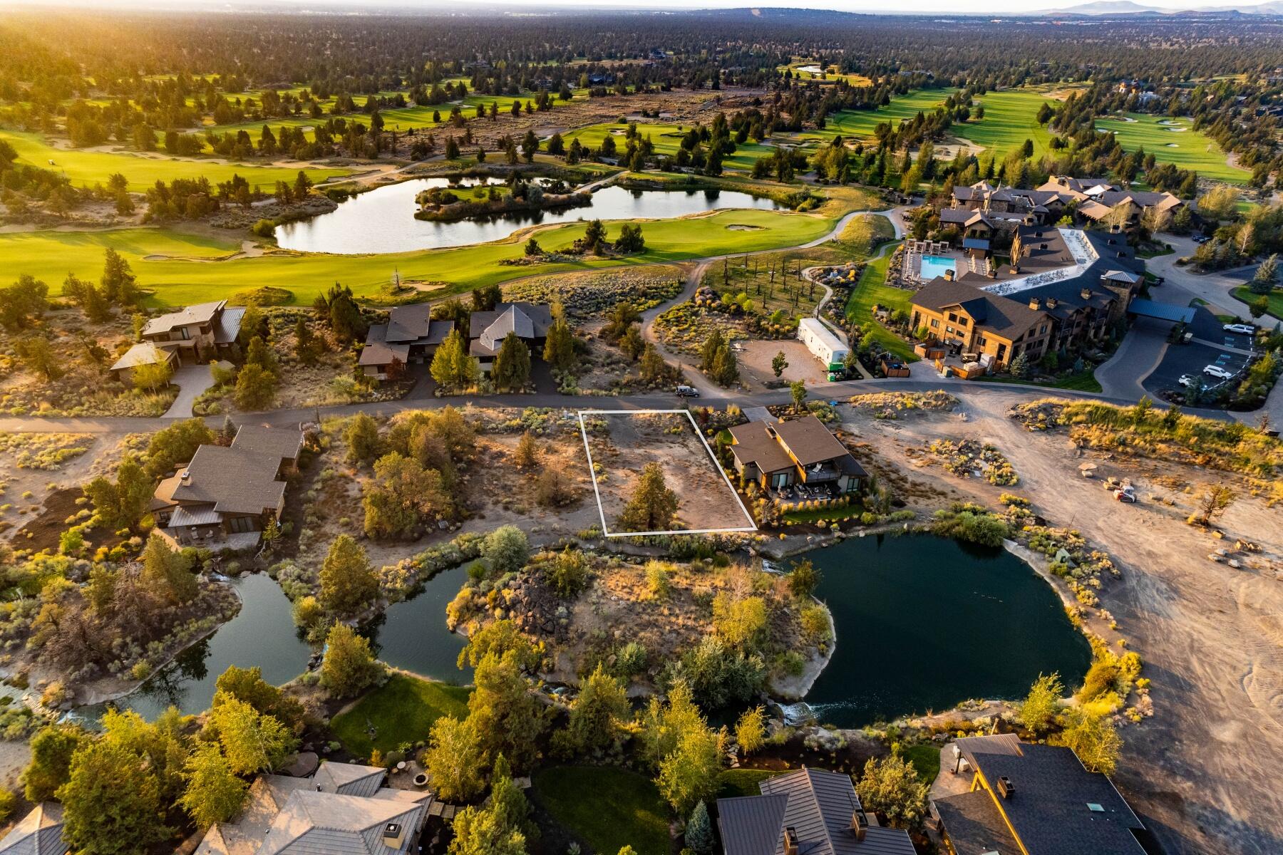 Pronghorn - Land