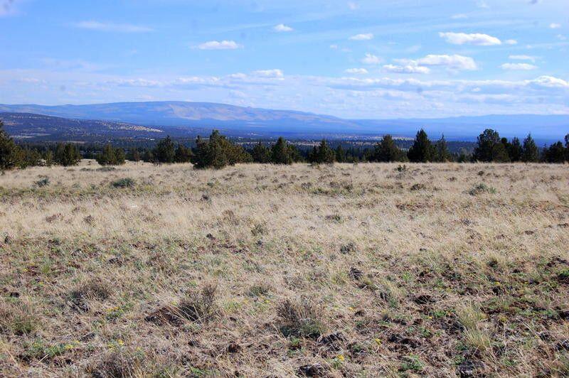 Ochoco Land + Livest - Land