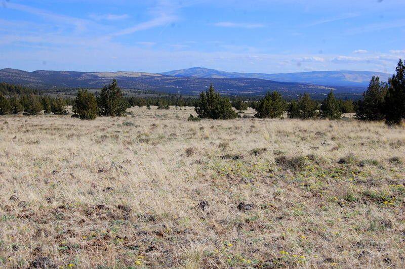 Ochoco Land + Livest - Land