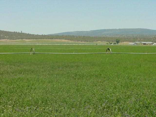 16 1/2 Acres In The Edge Of Bonanza City Limits Close To Services Call Jack Rookstool For Details To Show