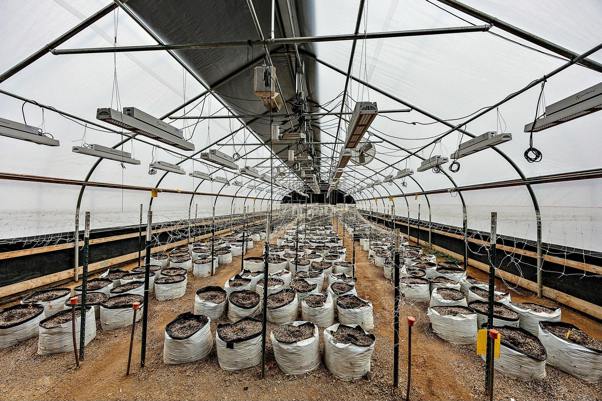 N/A - Farm