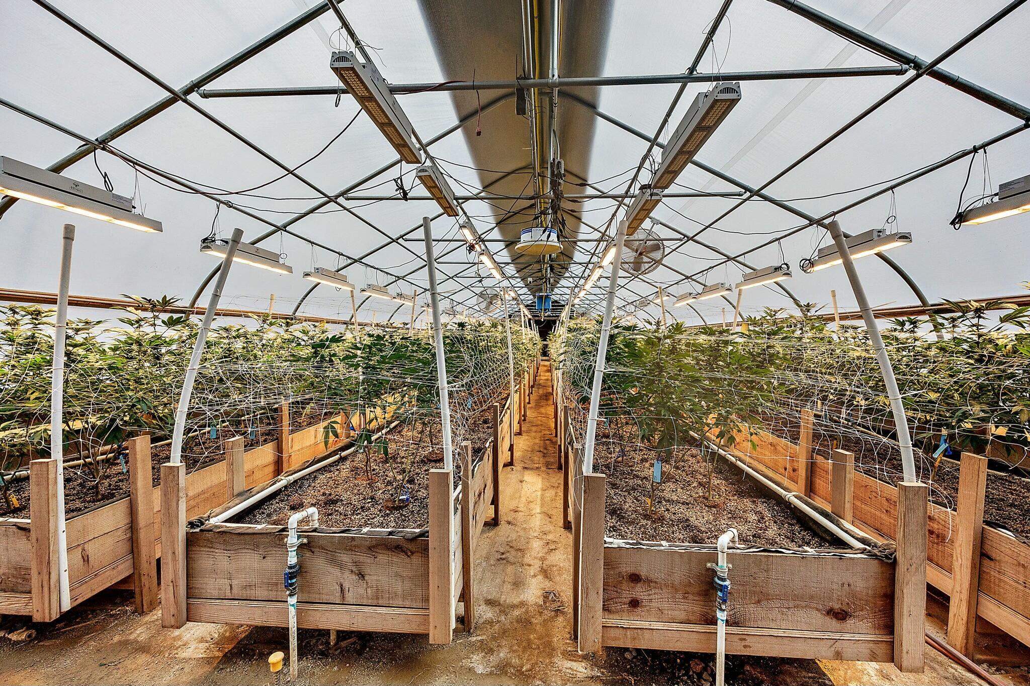 N/A - Farm