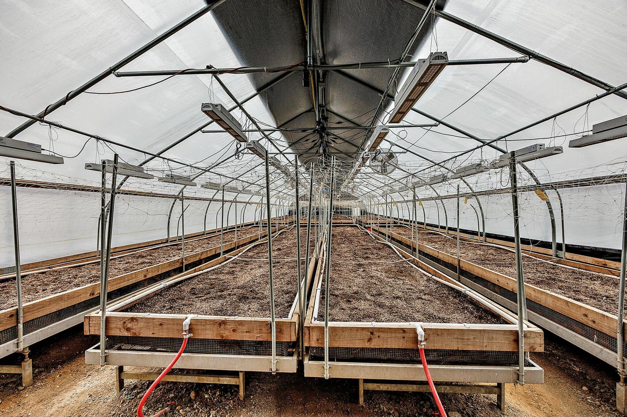 N/A - Farm