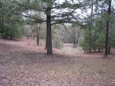 BEAUTIFUL, Wooded 5.37 Acre Parcel with cleared homesite. Homesite is elevated with a great view of distant mountains. Standard Septic site approval per owner. Adjacent property well recorded at 35 gpm - 140' deep when drilled. Information may be subject to change.