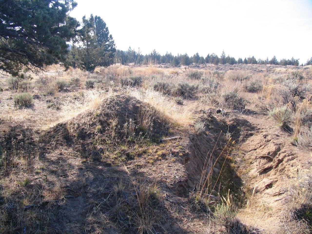 Lower Bridge Estate - Land