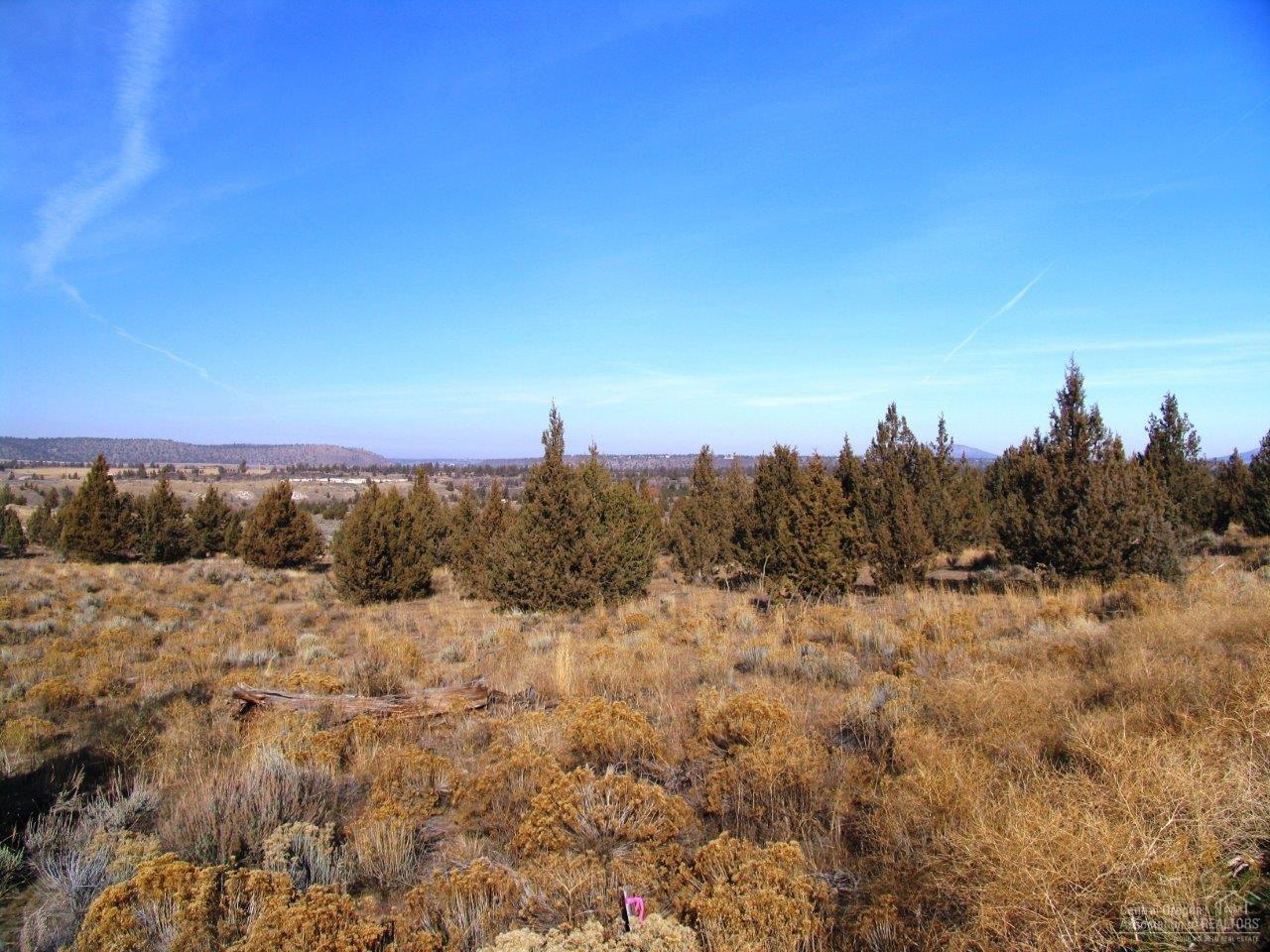Lower Bridge Estate - Land
