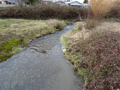 This is not your in town cookie cutter lot. 1.6 acres with Lone Pine creek running through it. We have a survey and flood elevation certification on file. All utilities are in the street. Tax lots #5300 and #5600 are in the riparian corridor. Tax lots #57000 and #5800 are in the flood plain but should be buildable. This makes a great one of a kind setting for the right home.