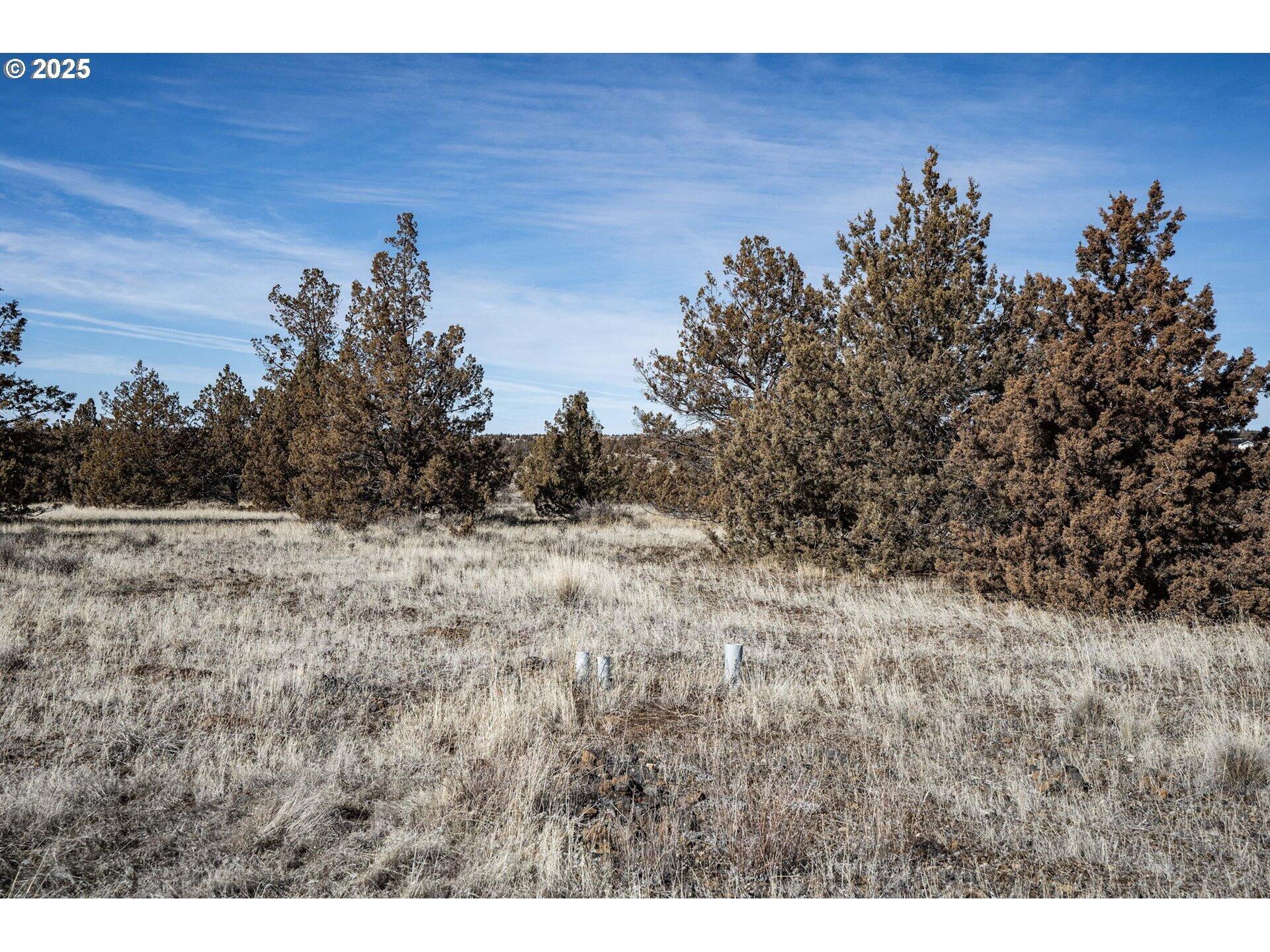 Longhorn Ridge - Land