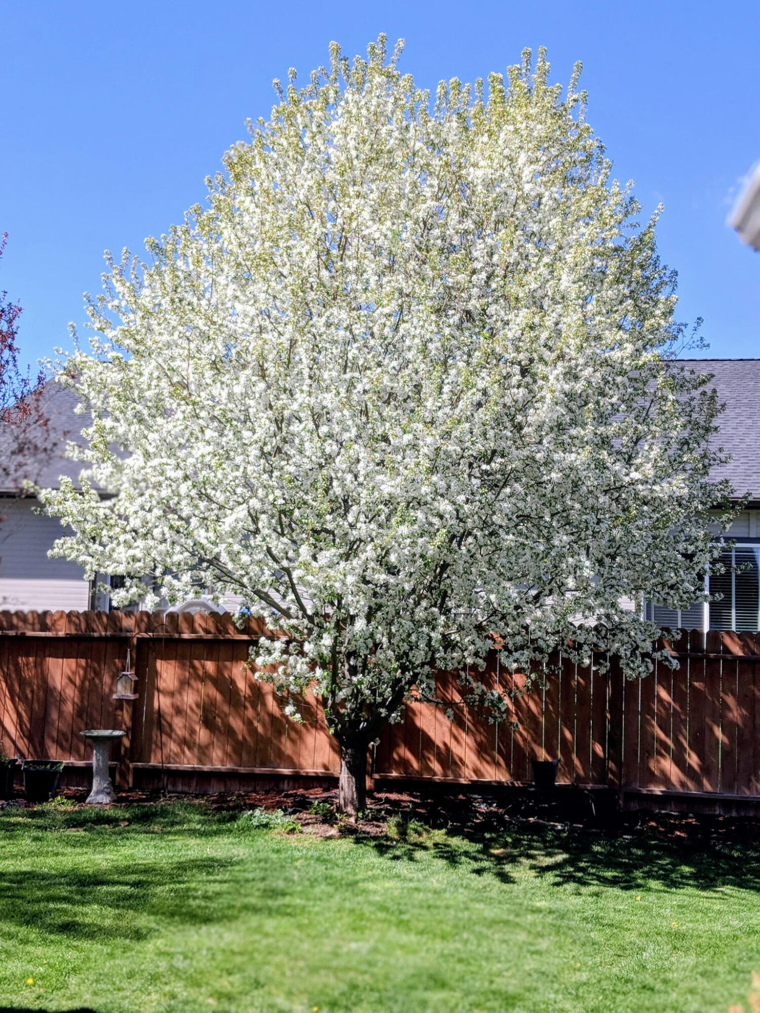 Gatewood - Residential