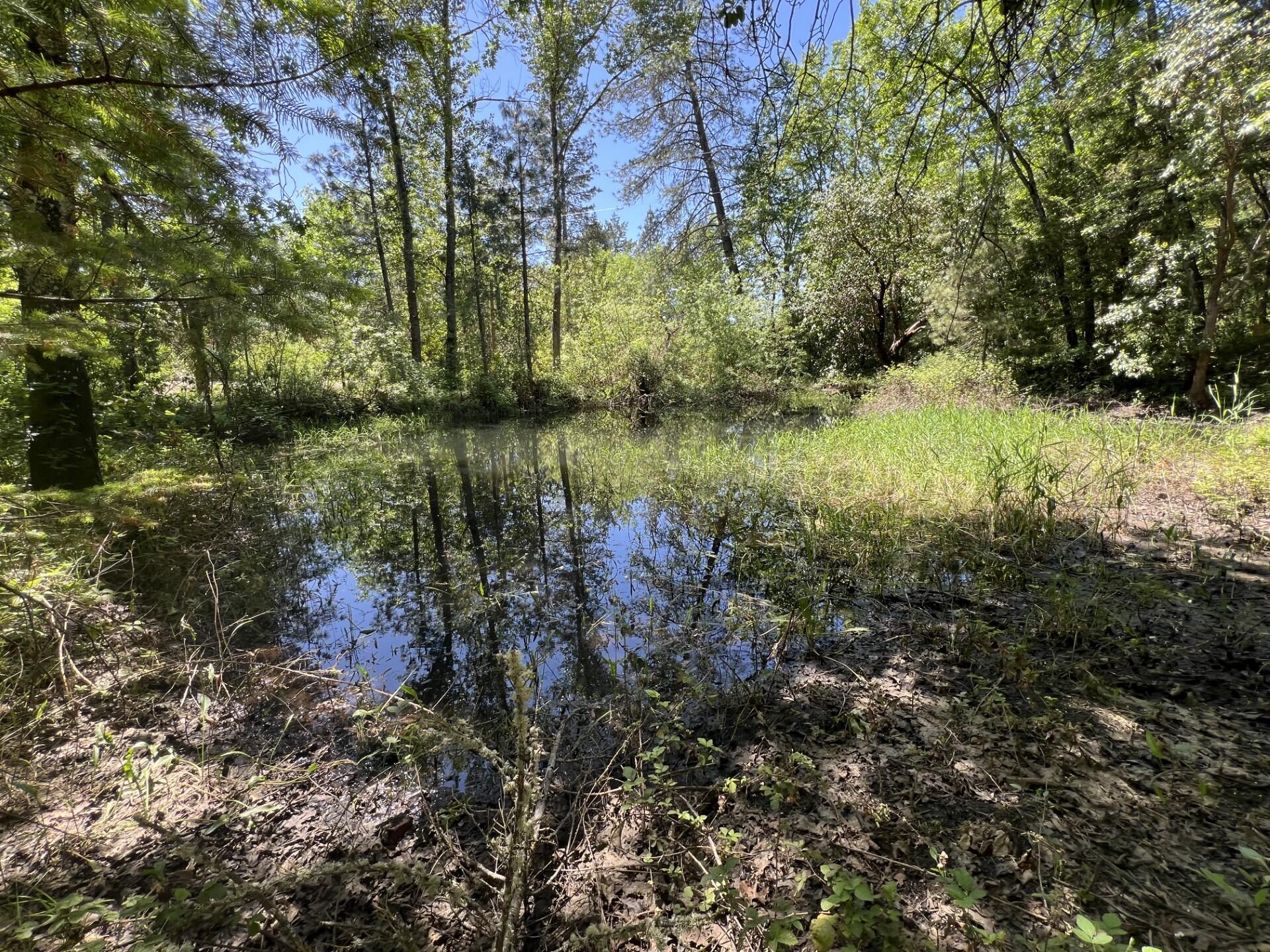 Buckskin Knolls - Residential