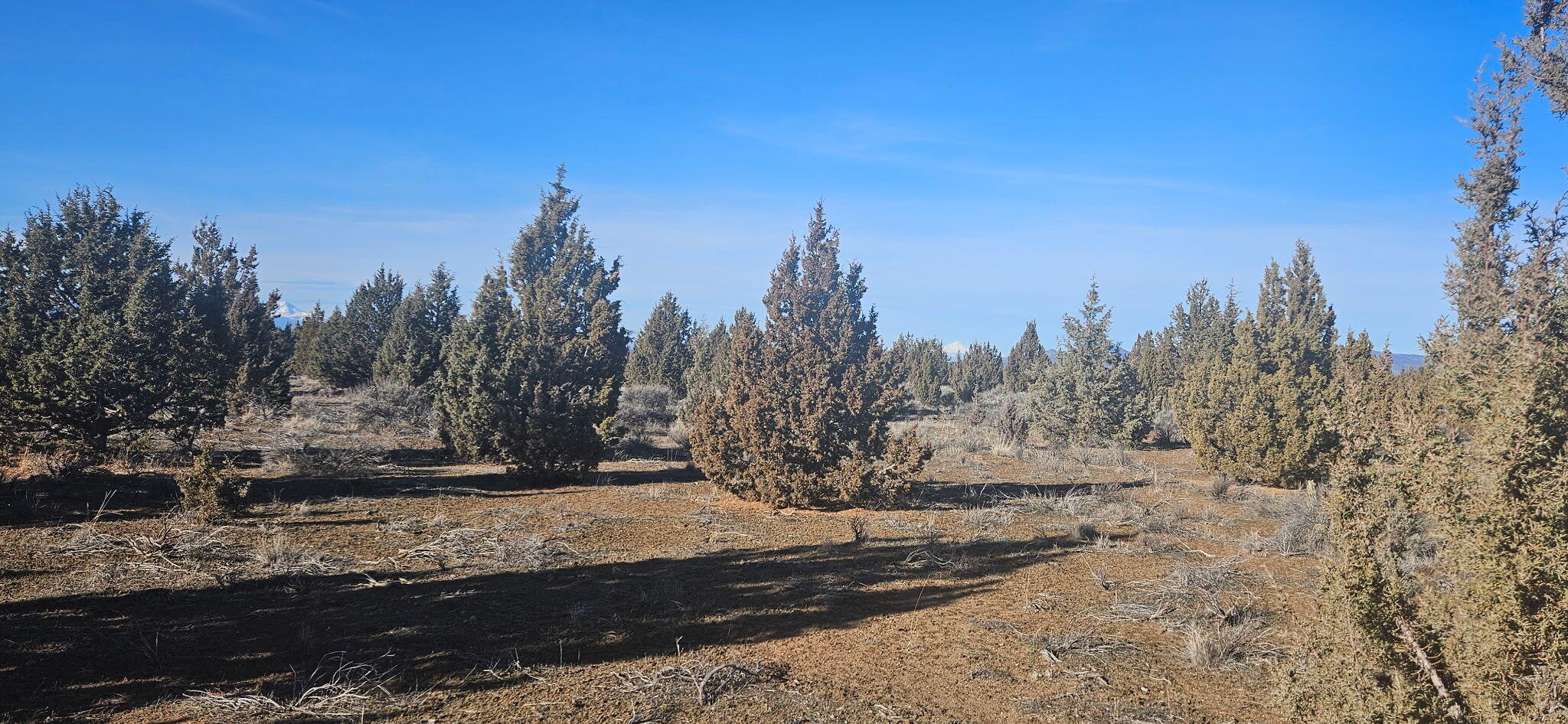 Juniper Acres - Land