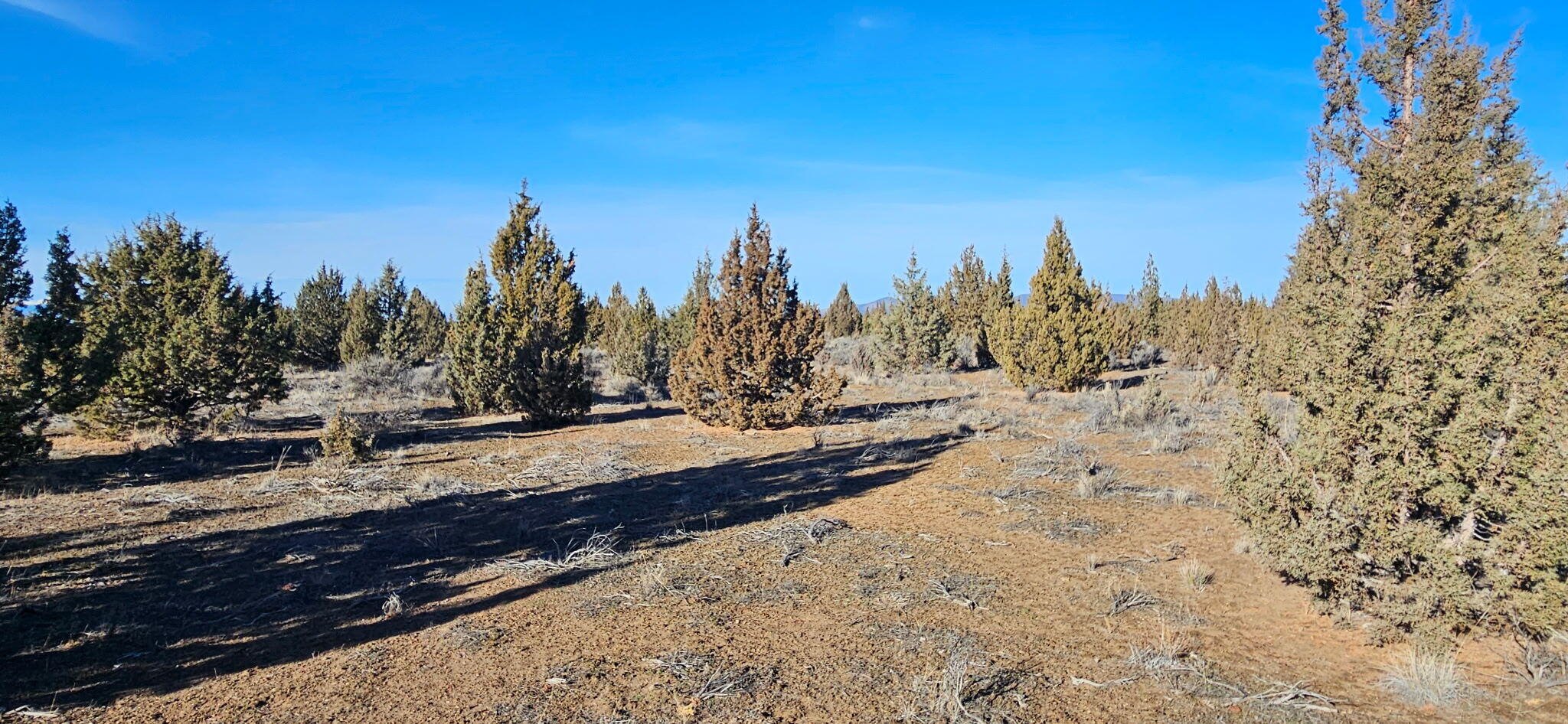 Juniper Acres - Land
