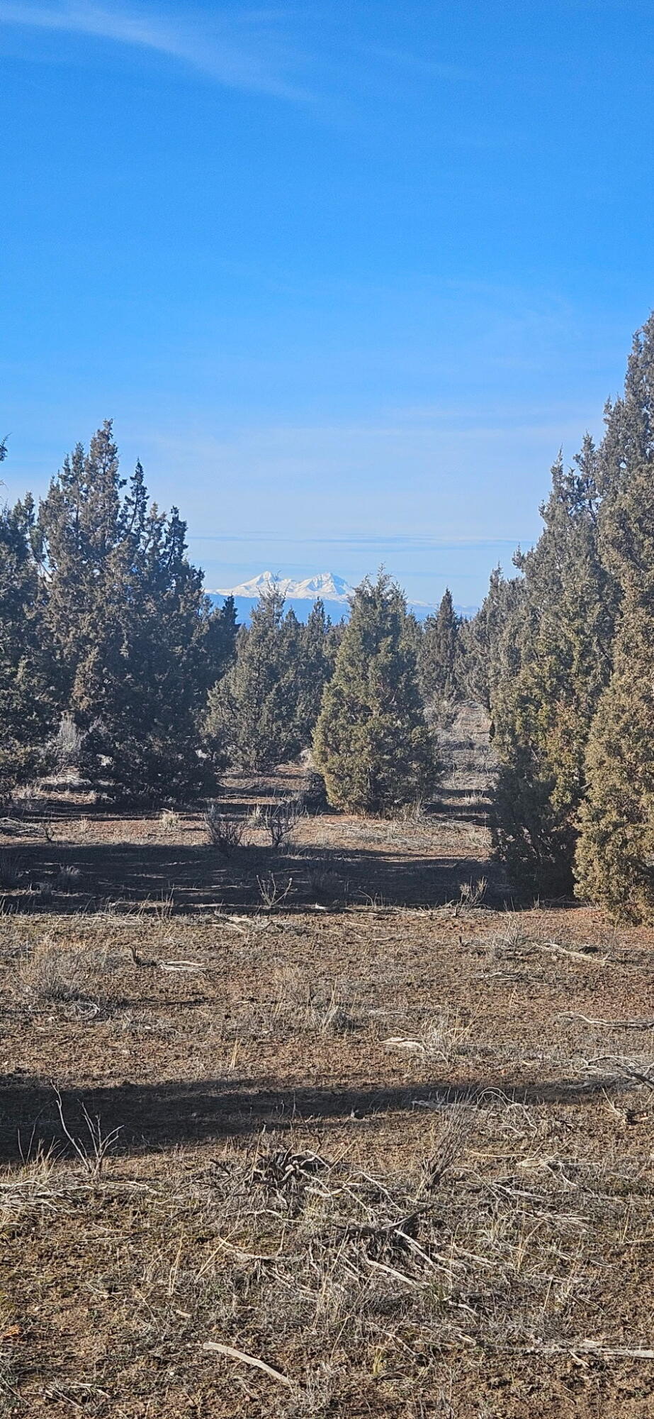 Juniper Acres - Land