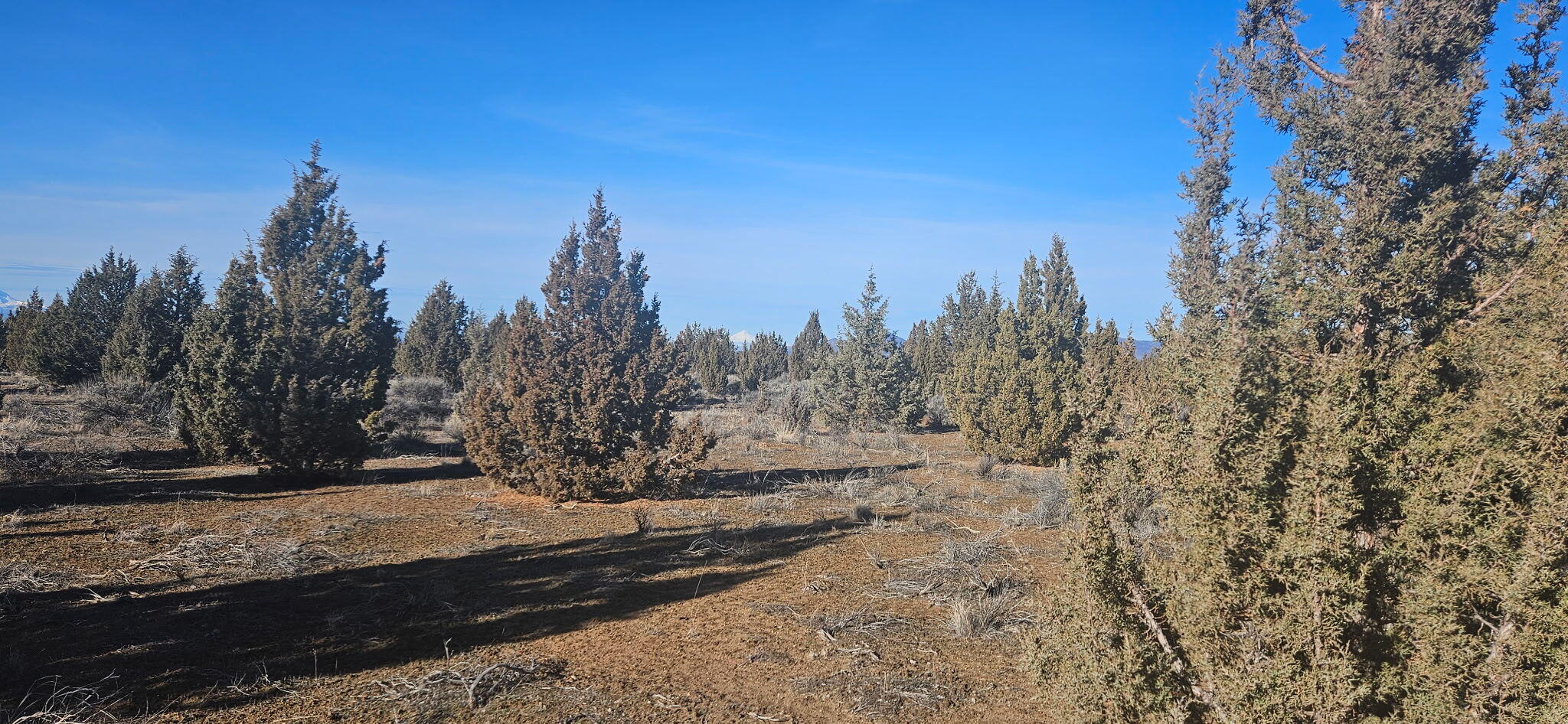 Juniper Acres - Land