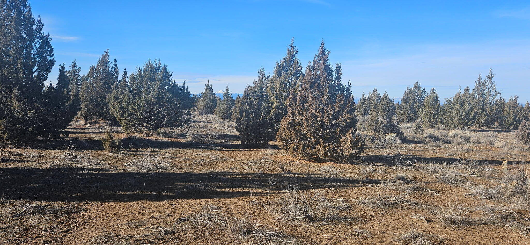 Juniper Acres - Land