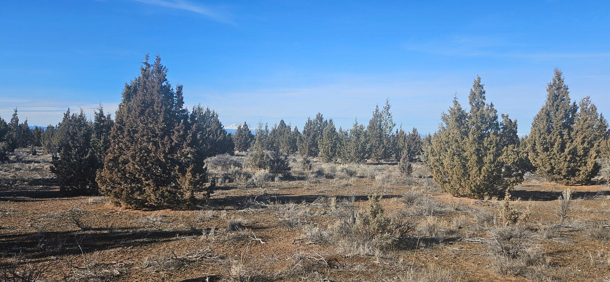 Juniper Acres - Land