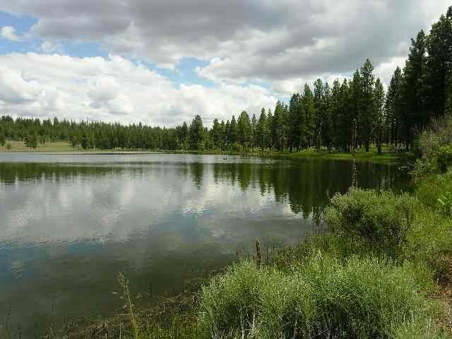Highly Accesable, The 20 Acre Parcel Is Adjacent To 88 Acres Of Common Interest Property Along A Reservoir Packed With Fish. Ie Pictures Are Of Reservior.