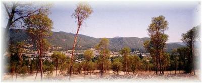 2nd Agent: Lori Ebner 660-0112. Phase Iii Of The Laurelridge Estates Subd. Some W/Outstanding Views. Call Kurt For More Info 660-3844. Lots #98 & 99 Are Now Combined Into 1 Lot.