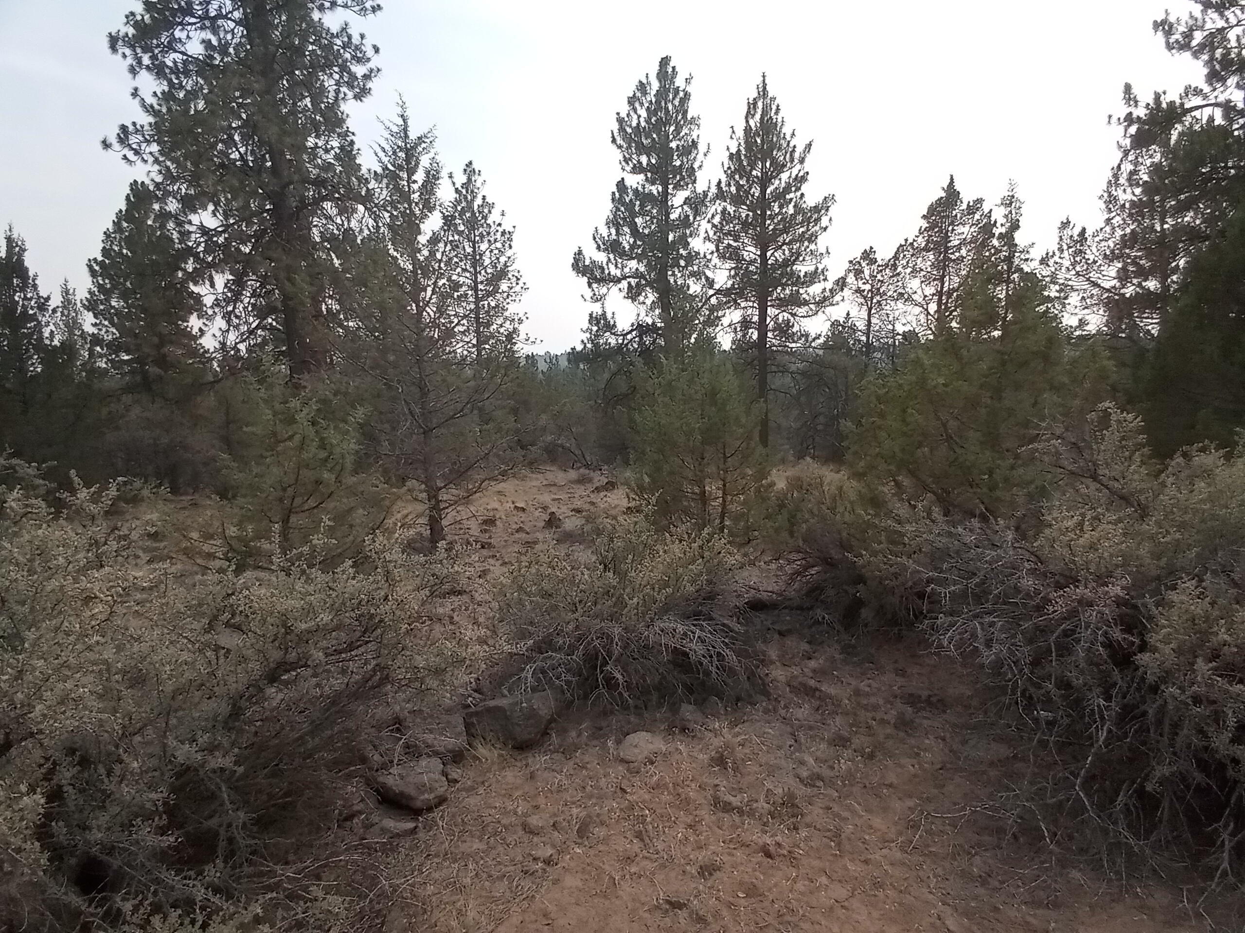 Klamath Falls Forest Estates -Hwy 66 Unit -Plat No. 2 - Land