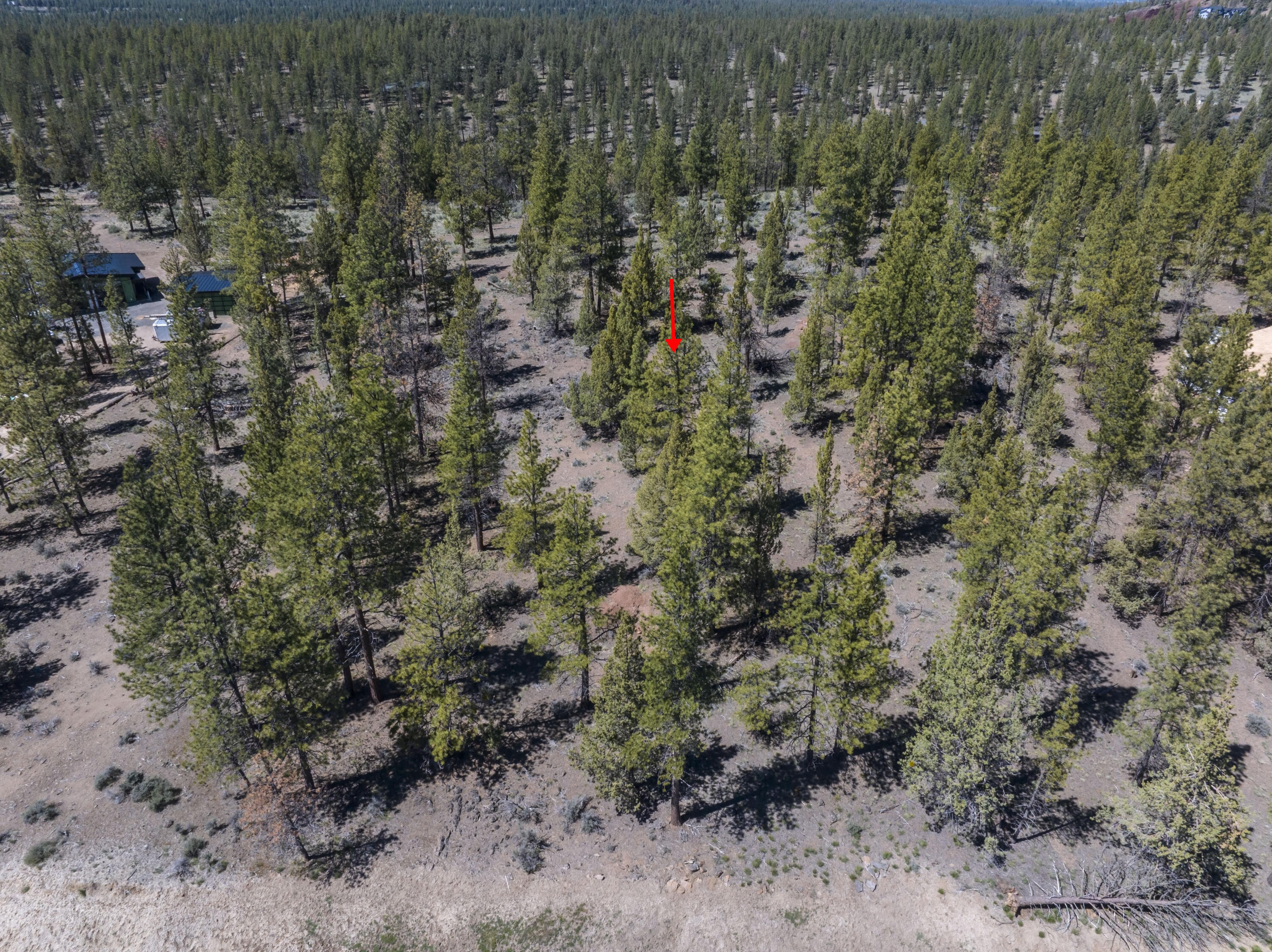 Skyline Ranch - Land