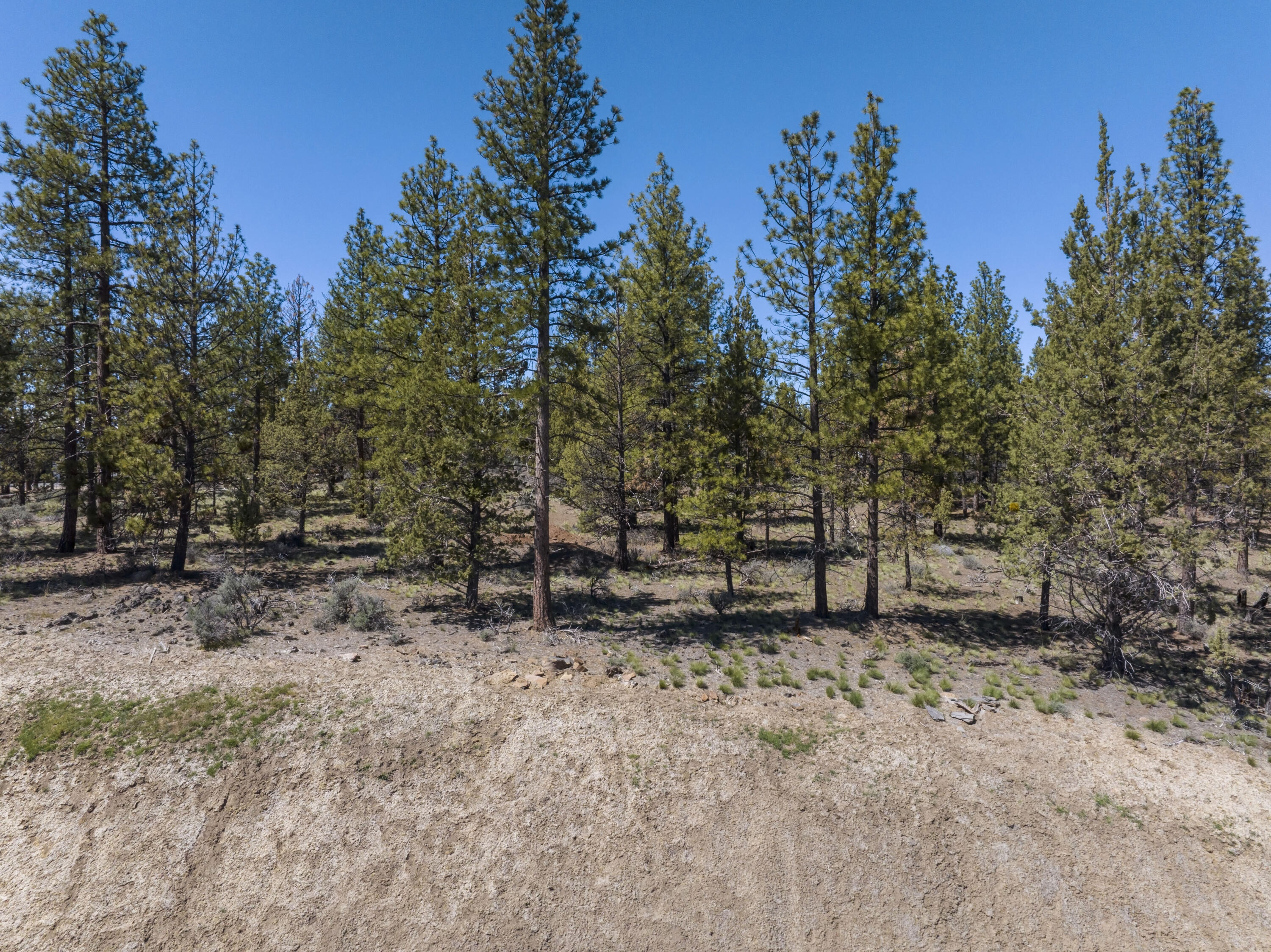 Skyline Ranch - Land