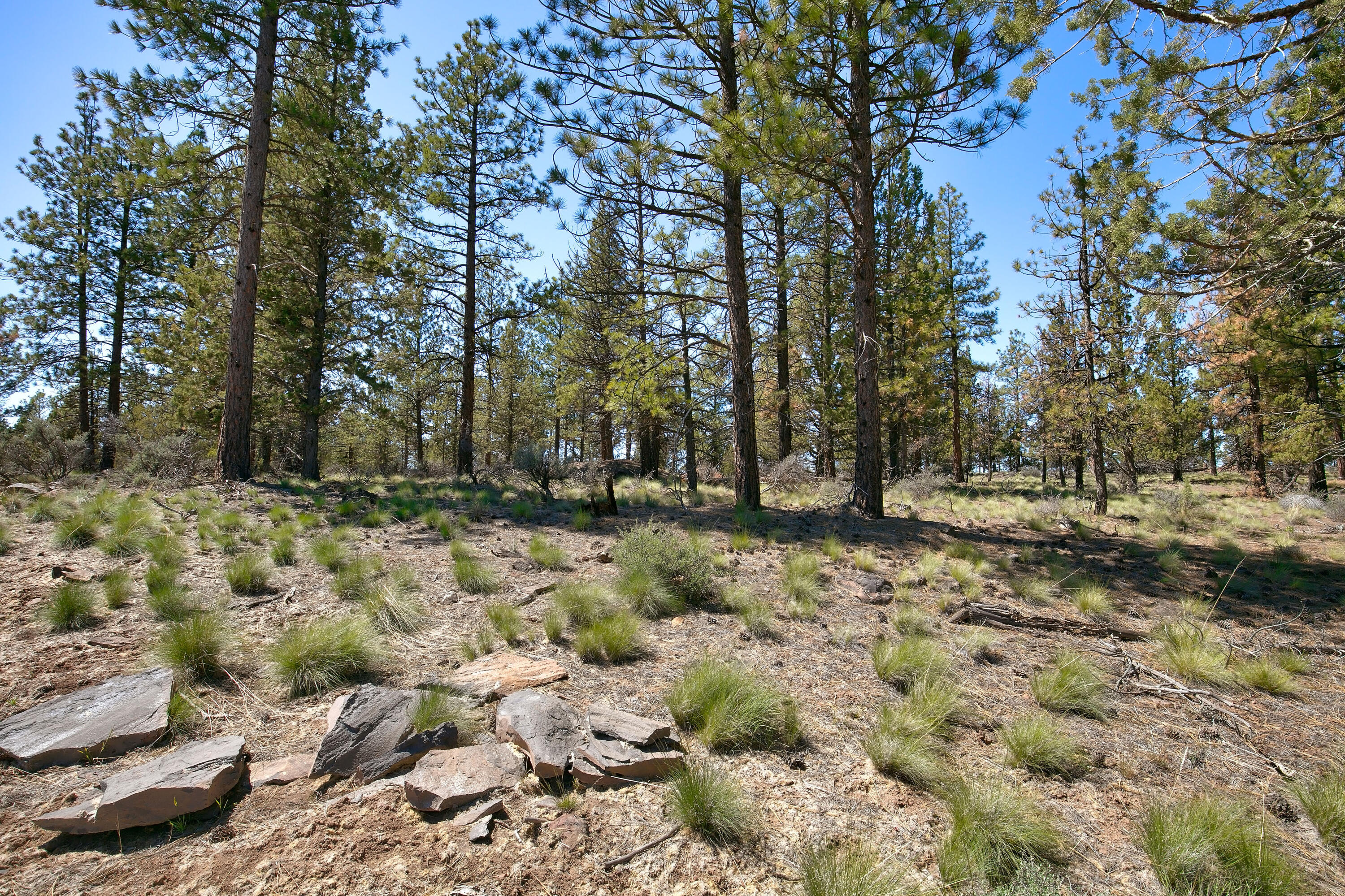 Skyline Ranch - Land