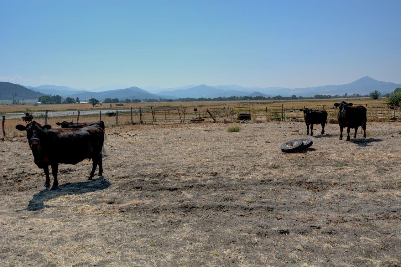 N/A - Farm