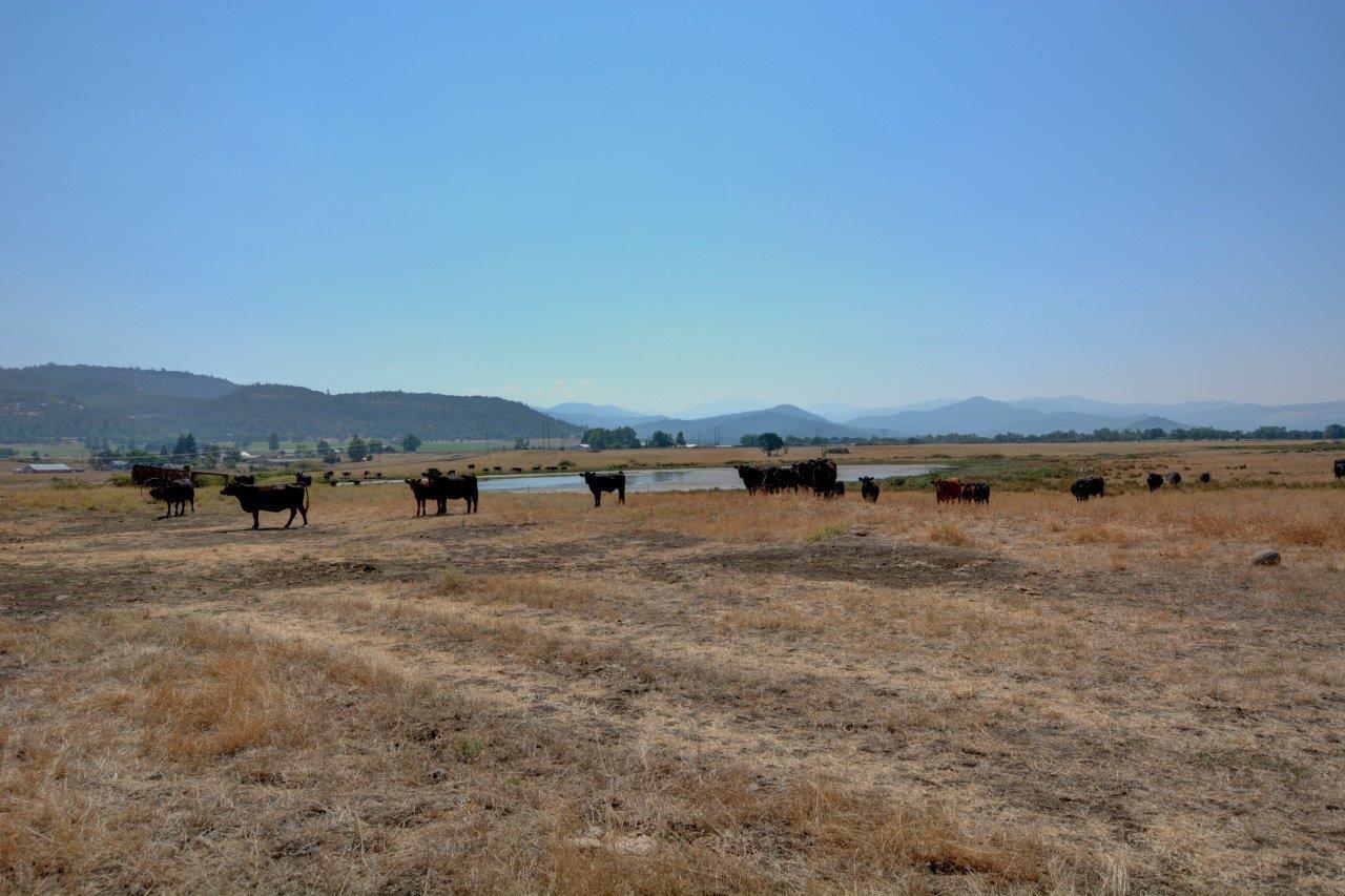 N/A - Farm