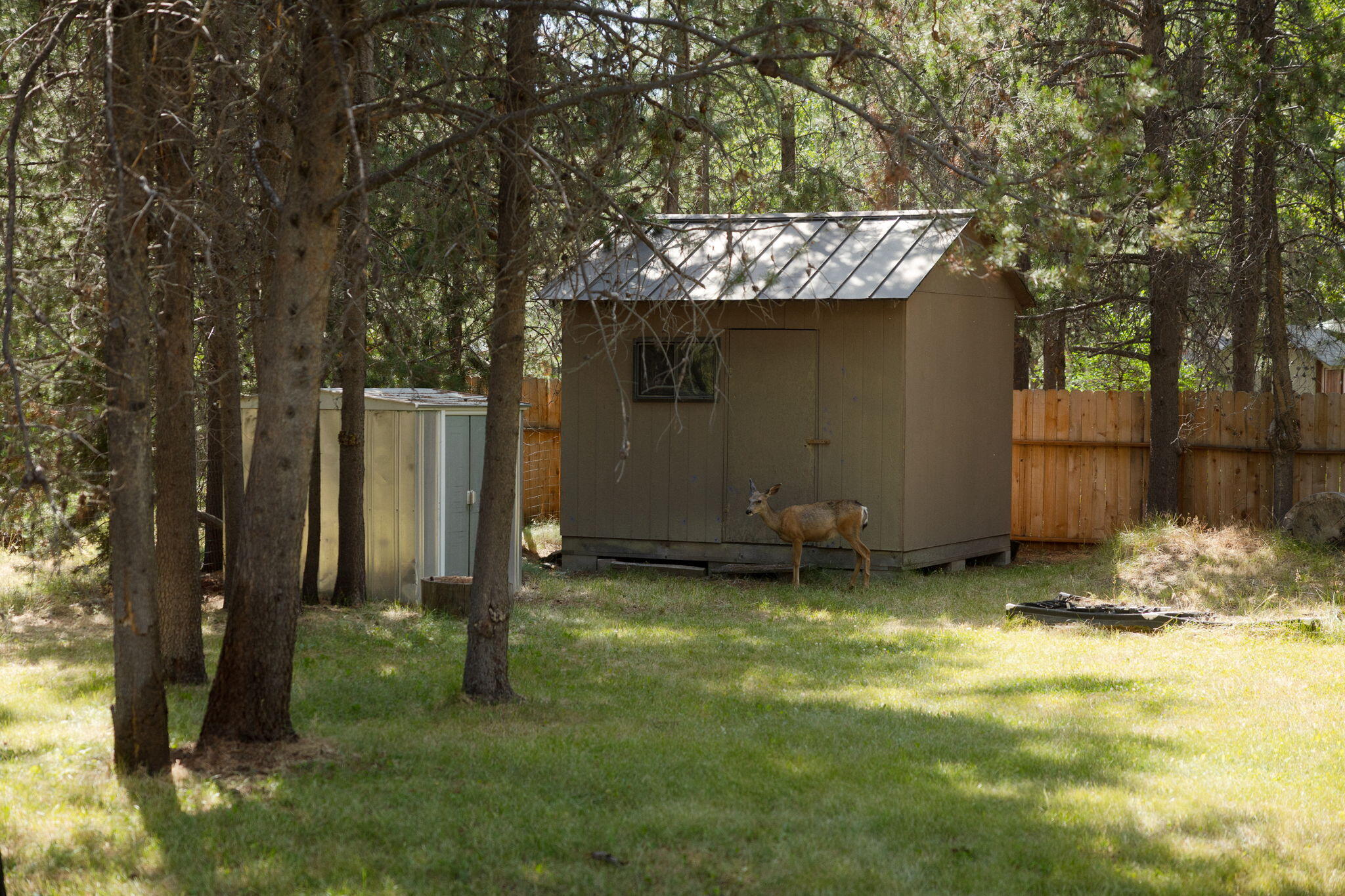 Oww - Residential