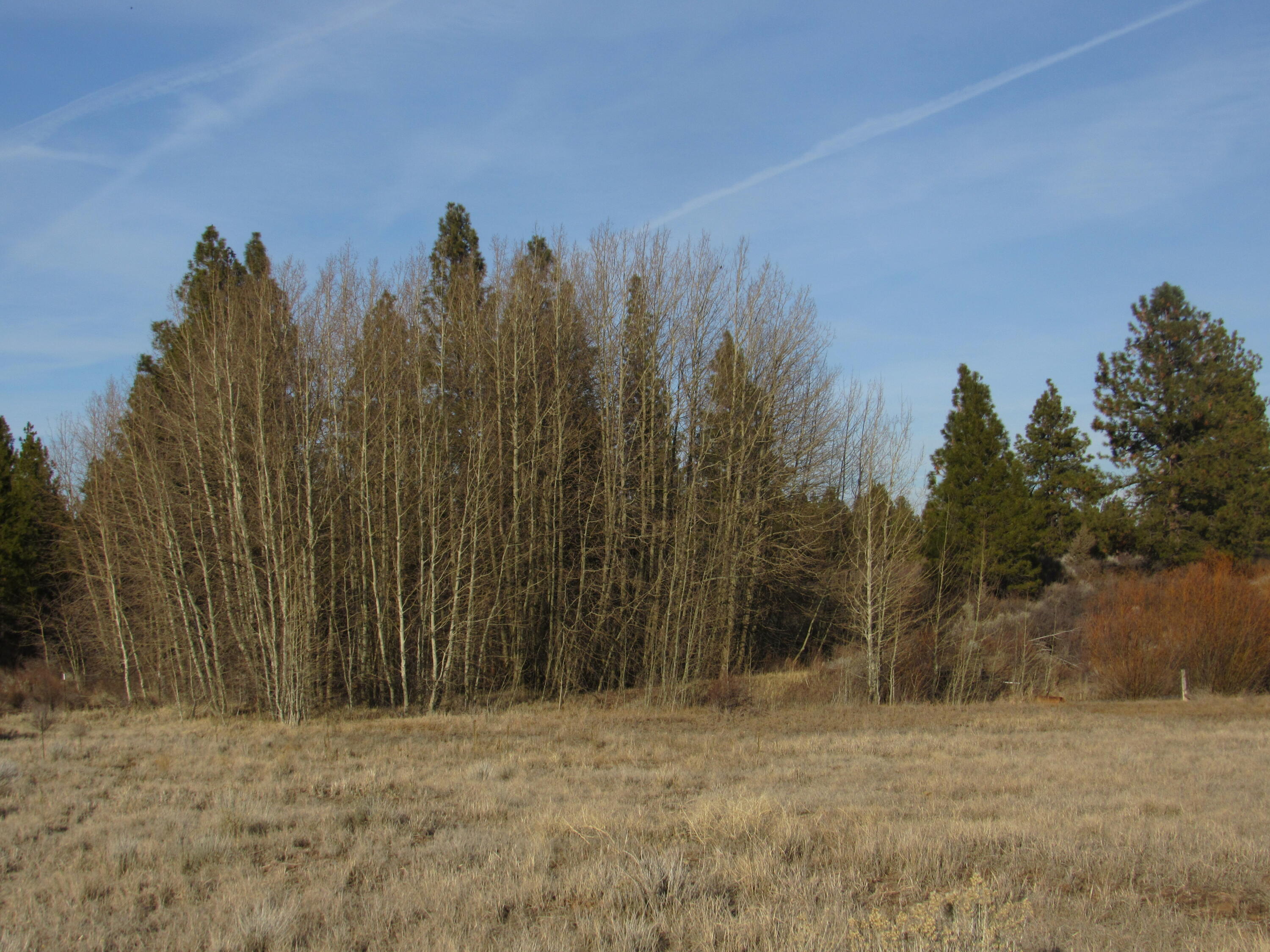 Oregon Shores -Unit 2 - Land