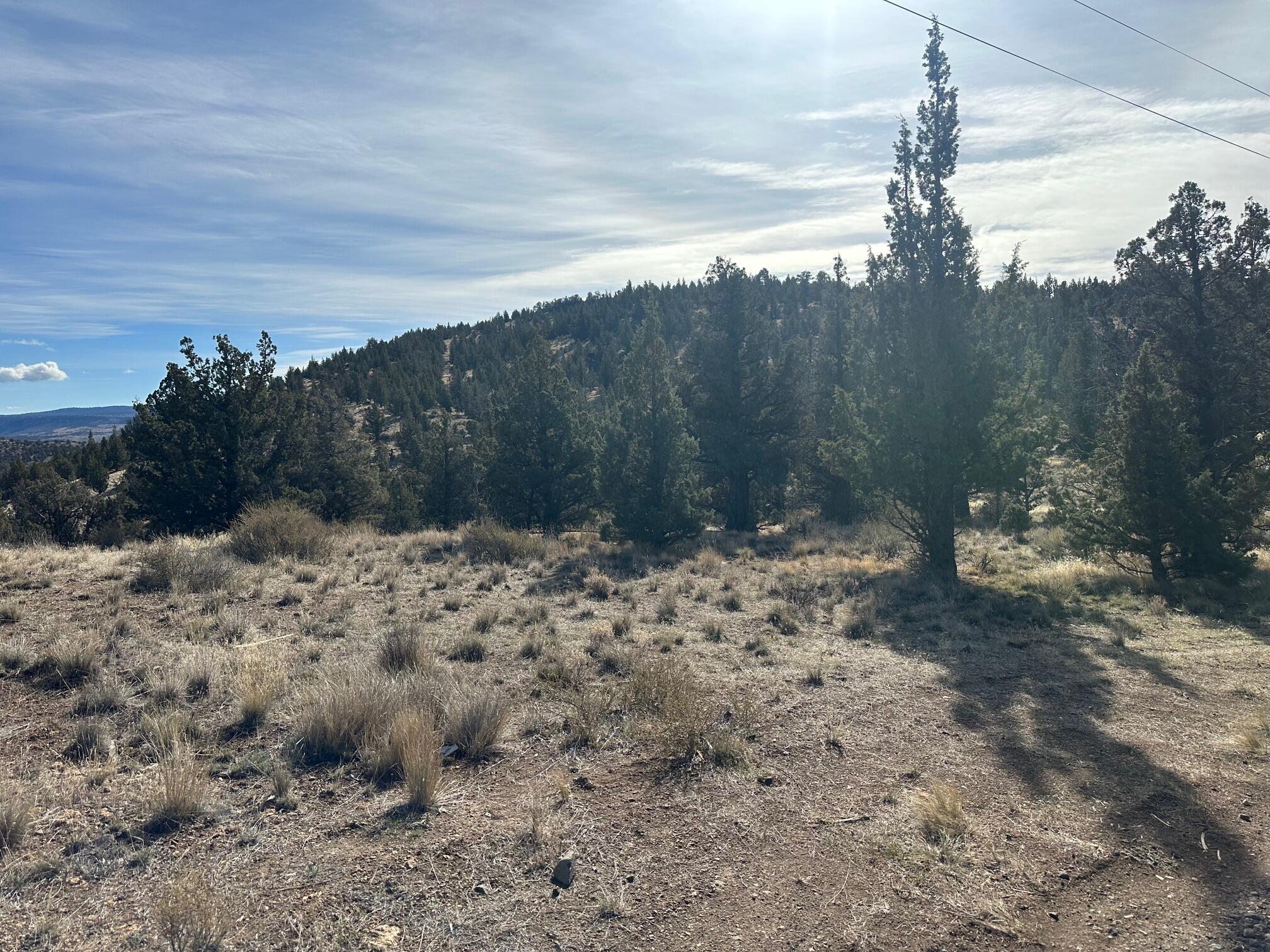 Juniper Hills - Land