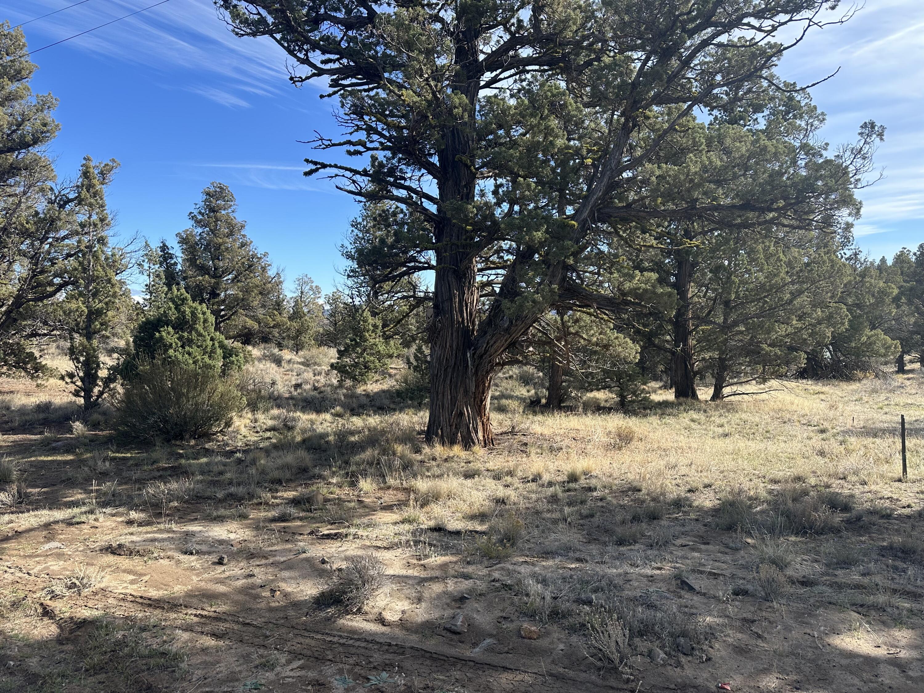 Looking for your perfect getaway? Here is just over half an acre of privacy for your final touches. Build a home or just recreate in the summer. Just minutes from Prineville Reservoir and a short drive to town makes this a perfect blank canvas. Power is close by. Lot 3 can also be purchased together for a discount of $60,000 for both.