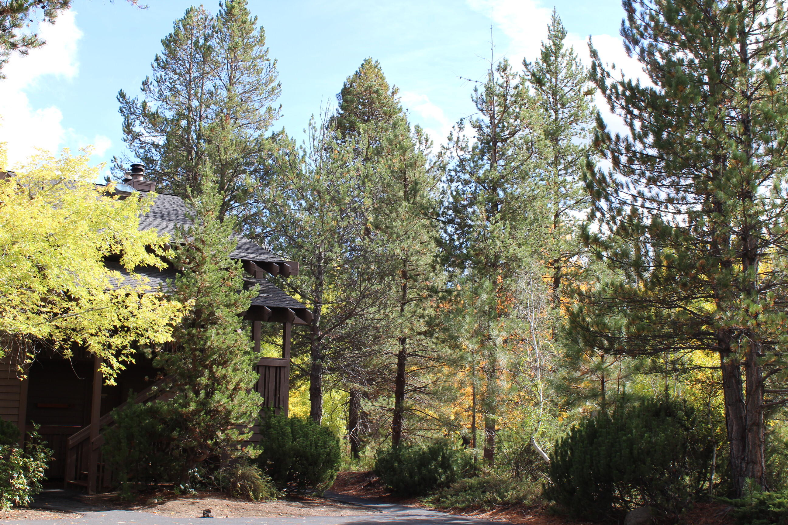 This cozy downstairs condo is a gem nestled at the end of the complex, offering serenity & privacy. The Ridge offers a great location for both relaxation and adventure. There are 40 mi of scenic paths, which allows a safe way to tour Sunriver. Amenities include; seasonal pool, hot tub, clubhouse & sports court. Winter & summer activities abound in Central Oregon; which include endless outdoor activities, or sitting in front of a gas fireplace w/a beverage & a good book. This is a 12 wk ownership. Service animals only. Rentable condo.