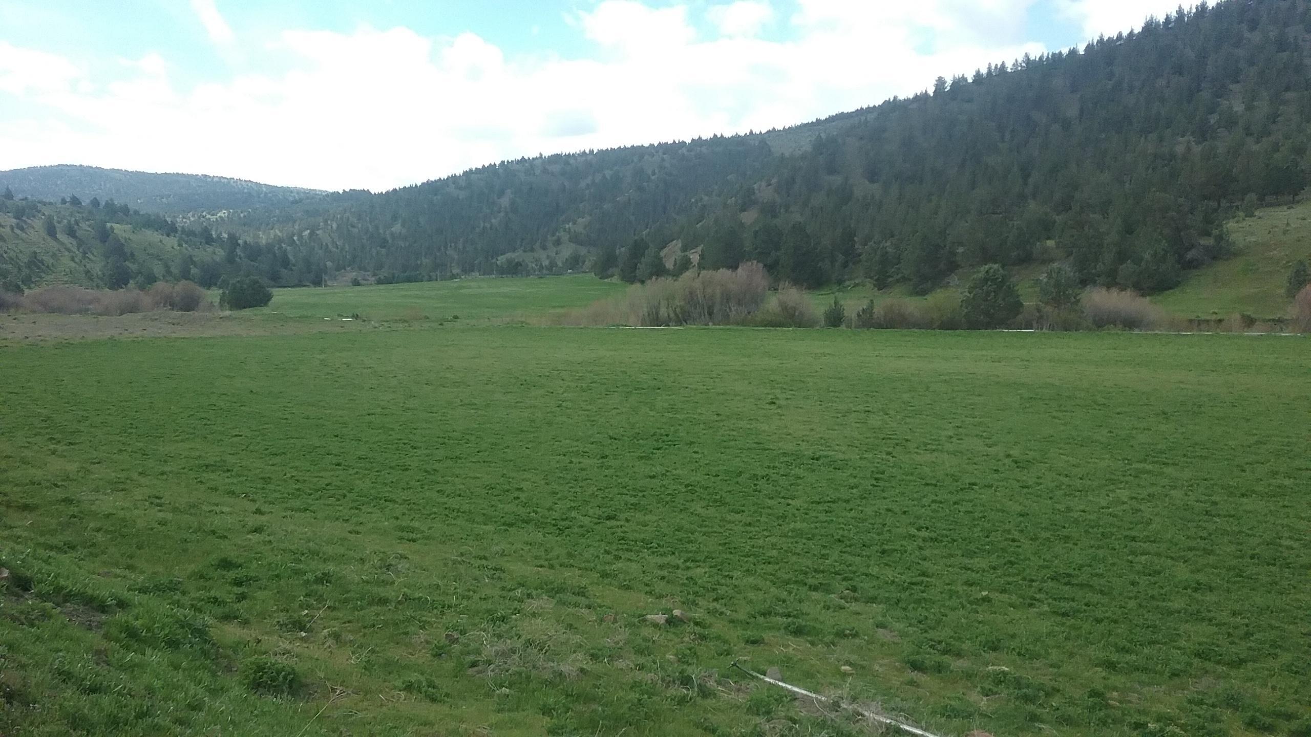 N/A - Farm
