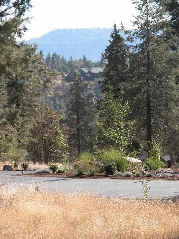 Gently Sloping Lot, Easily Buildable, Scenic Location. Must See To Appreciate.