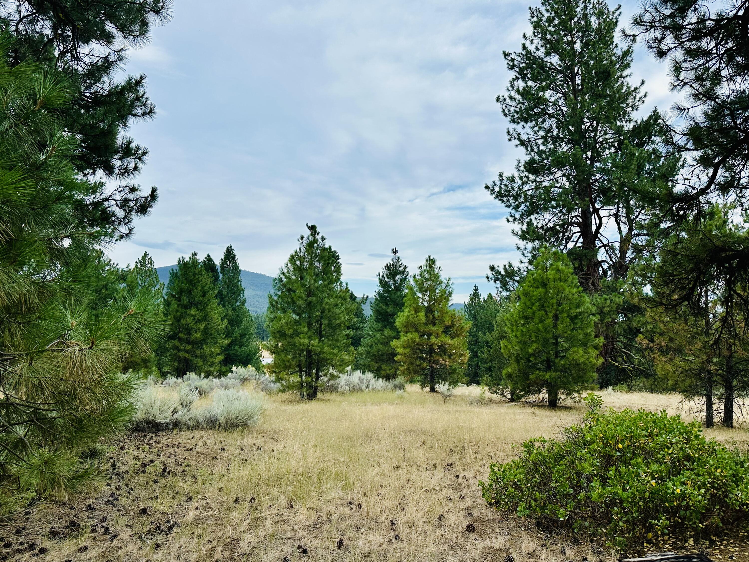 Escape to nature with this beautiful 2.0-acre parcel nestled in the heart of the Topsy Recreation Area. Located just a short stroll from the beautiful Klamath River, this level lot offers the perfect retreat for camping, relaxing, and making unforgettable memories with family and friends.
Surrounded by serene natural beauty, this peaceful setting is ideal for weekend getaways, off-grid adventures, or even as a basecamp for fishing, hunting, hiking, and kayaking.. With wide-open skies and room to breathe, this is your chance to own a slice of tranquility just minutes from outdoor recreation and scenic wilderness.
Whether you're looking for a private camping spot or a quiet escape from the hustle and bustle, this property delivers.