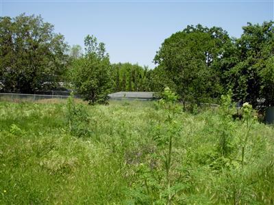 Rare opportunity to own your own lot in Phoenix and build your new home. Large .20 acre lot has all city services and is in a nice, private location in a great neighborhood!