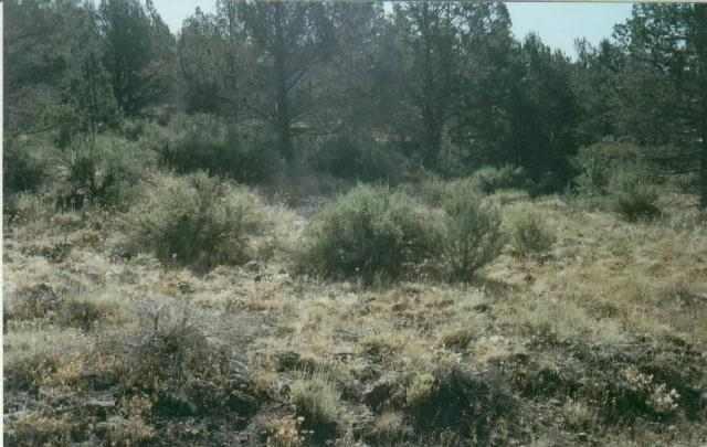 Very Nice Hillside Acreage With View, South West Exposure, Partly Wooded, With Good Road To Property And Power Near By.