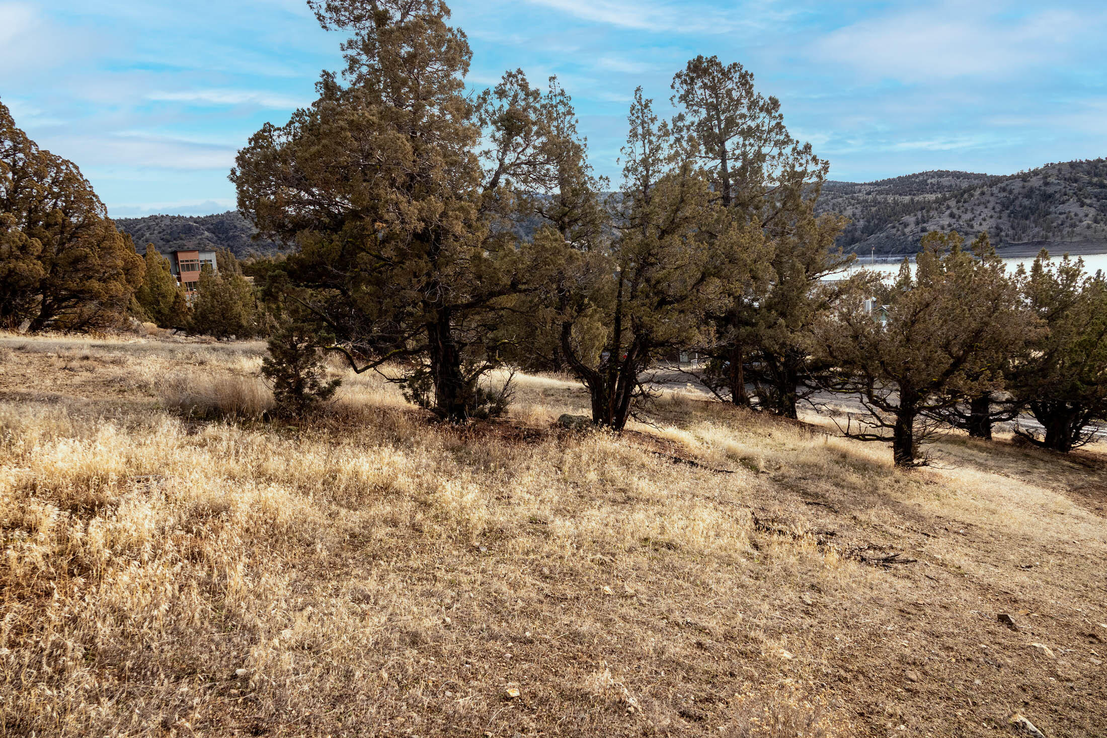 Bottero Park - Land