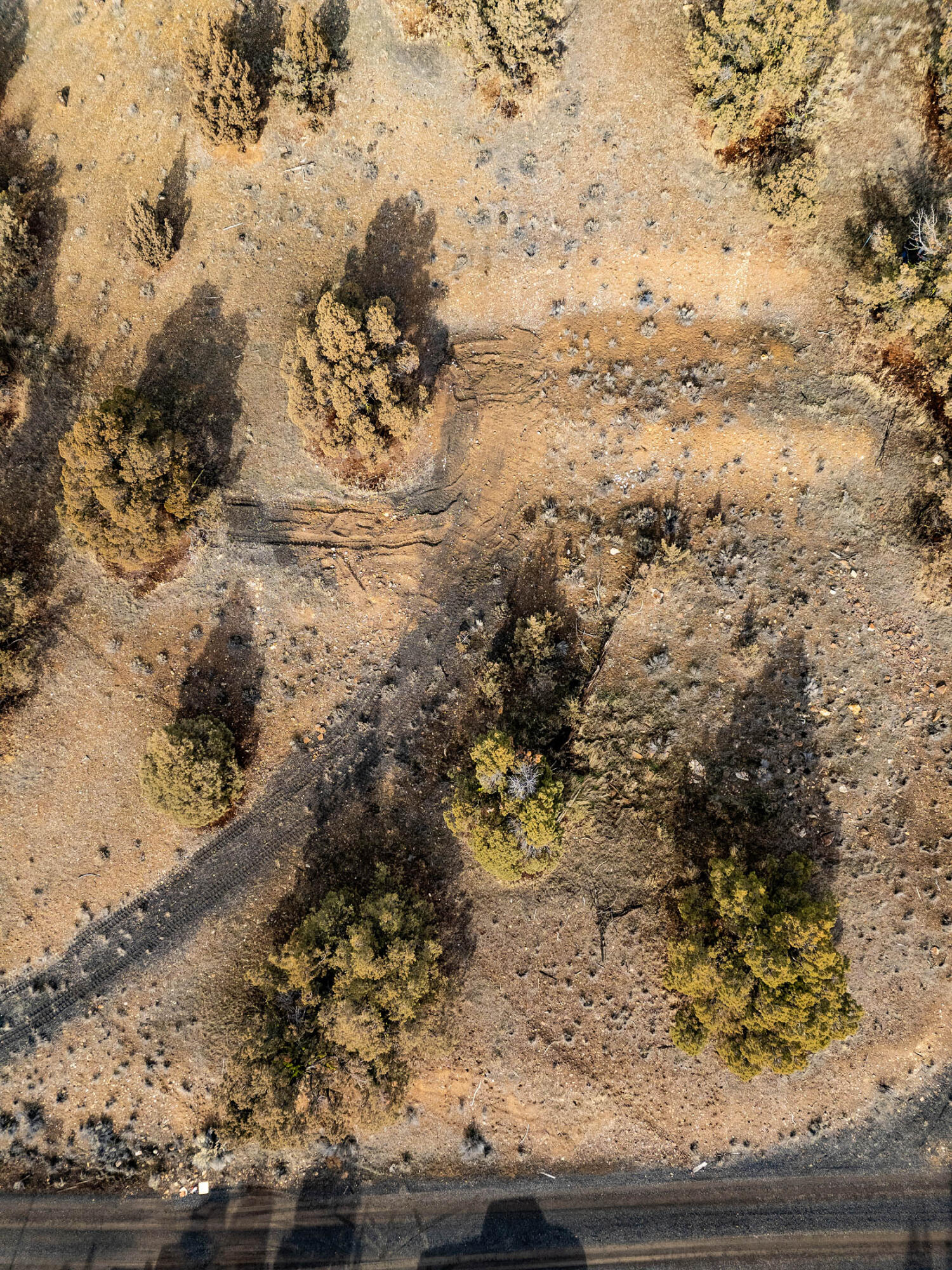 Bottero Park - Land
