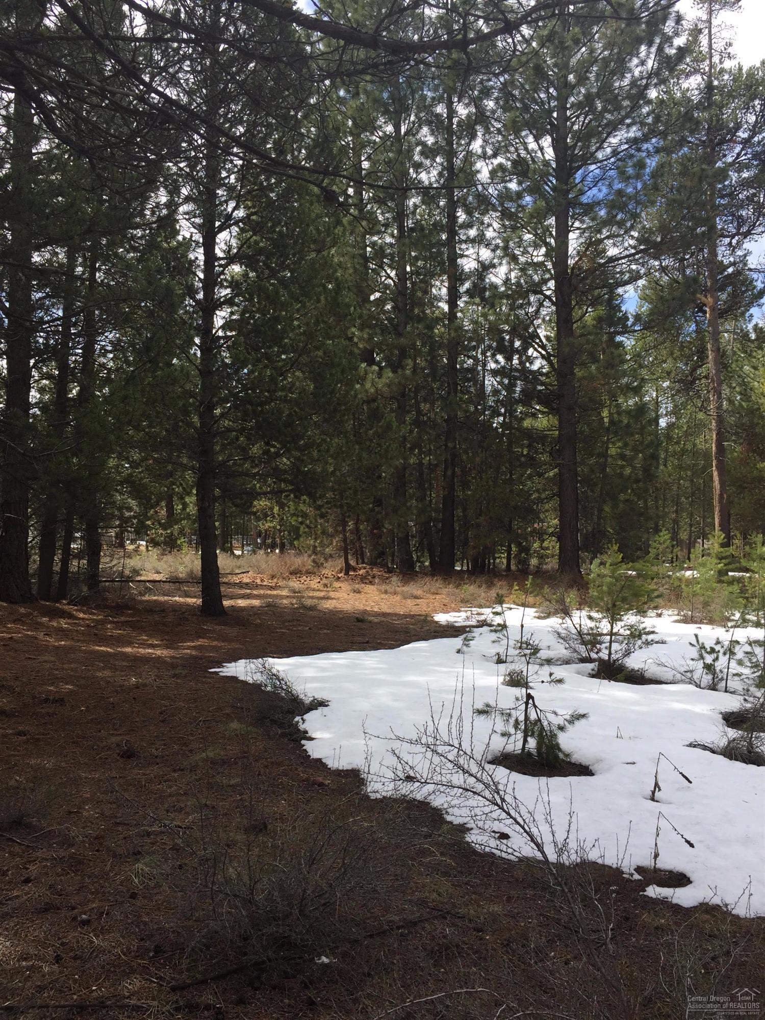 Beautiful level lot with mature Ponderosa Pines on 1.30 acres. Ready to build your dream home. Buyer to do own due diligence regarding Septic Feasibility with Klamath County. Property has a well.