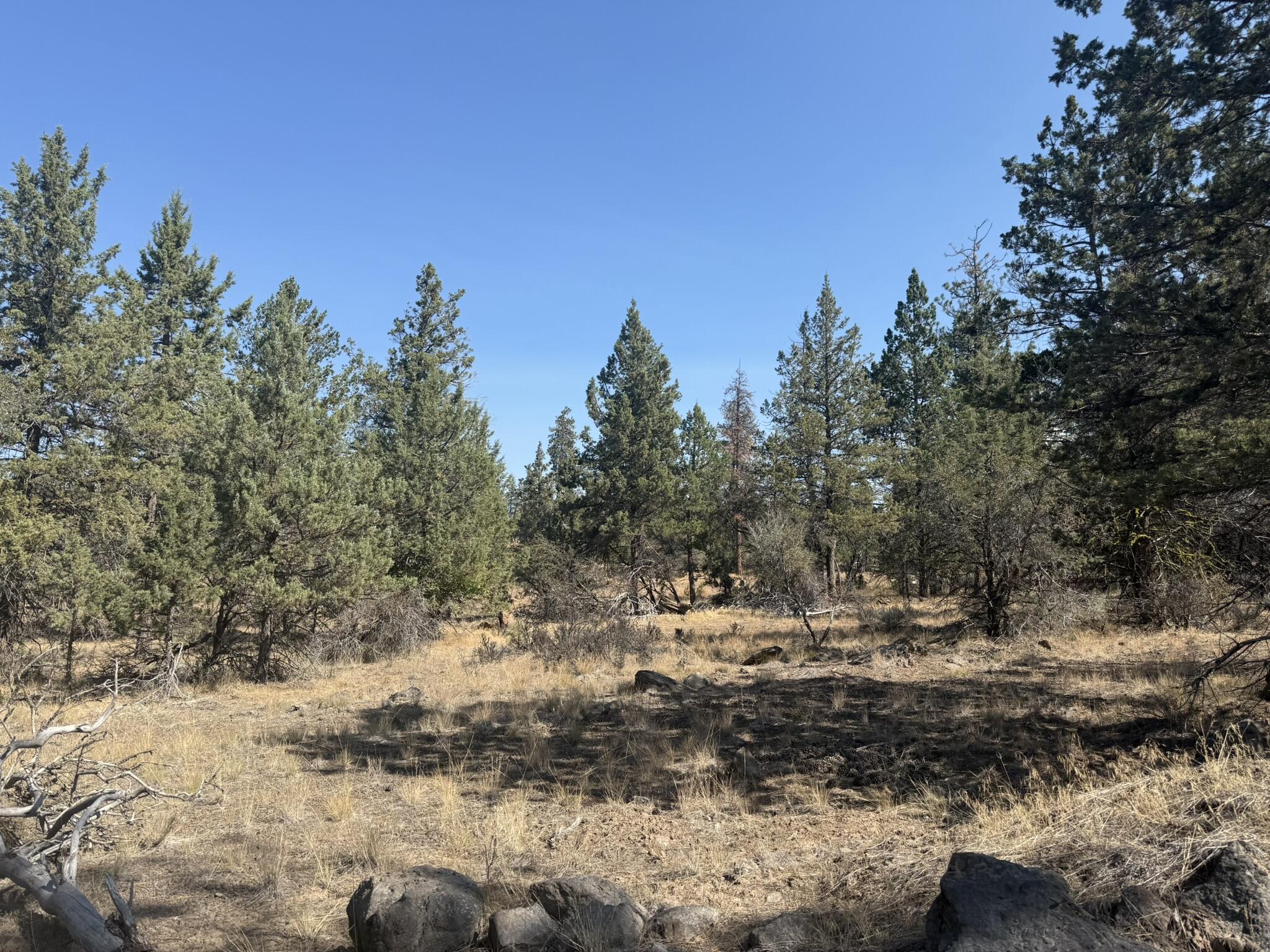 Klamath Falls Forest Estates -Hwy 66 Unit -Plat No. 2 - Land