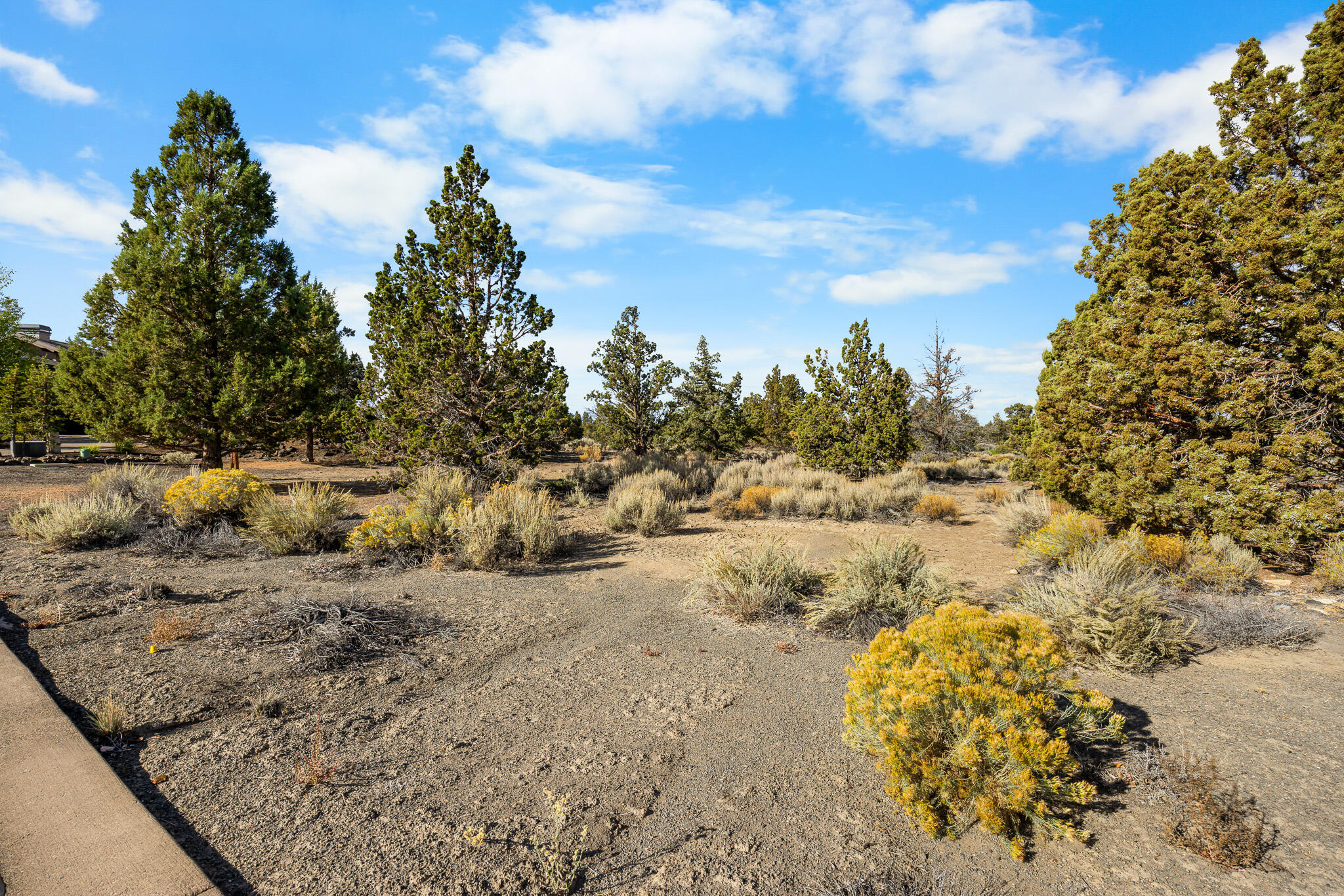 Pronghorn - Land