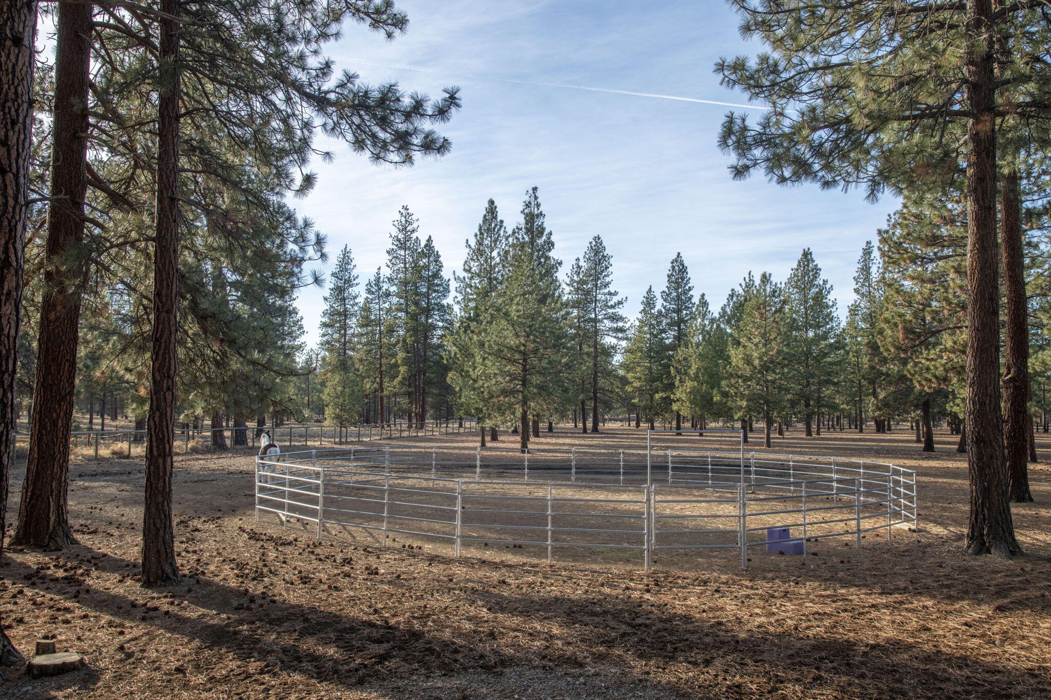 Indian Ford Meadows - Residential