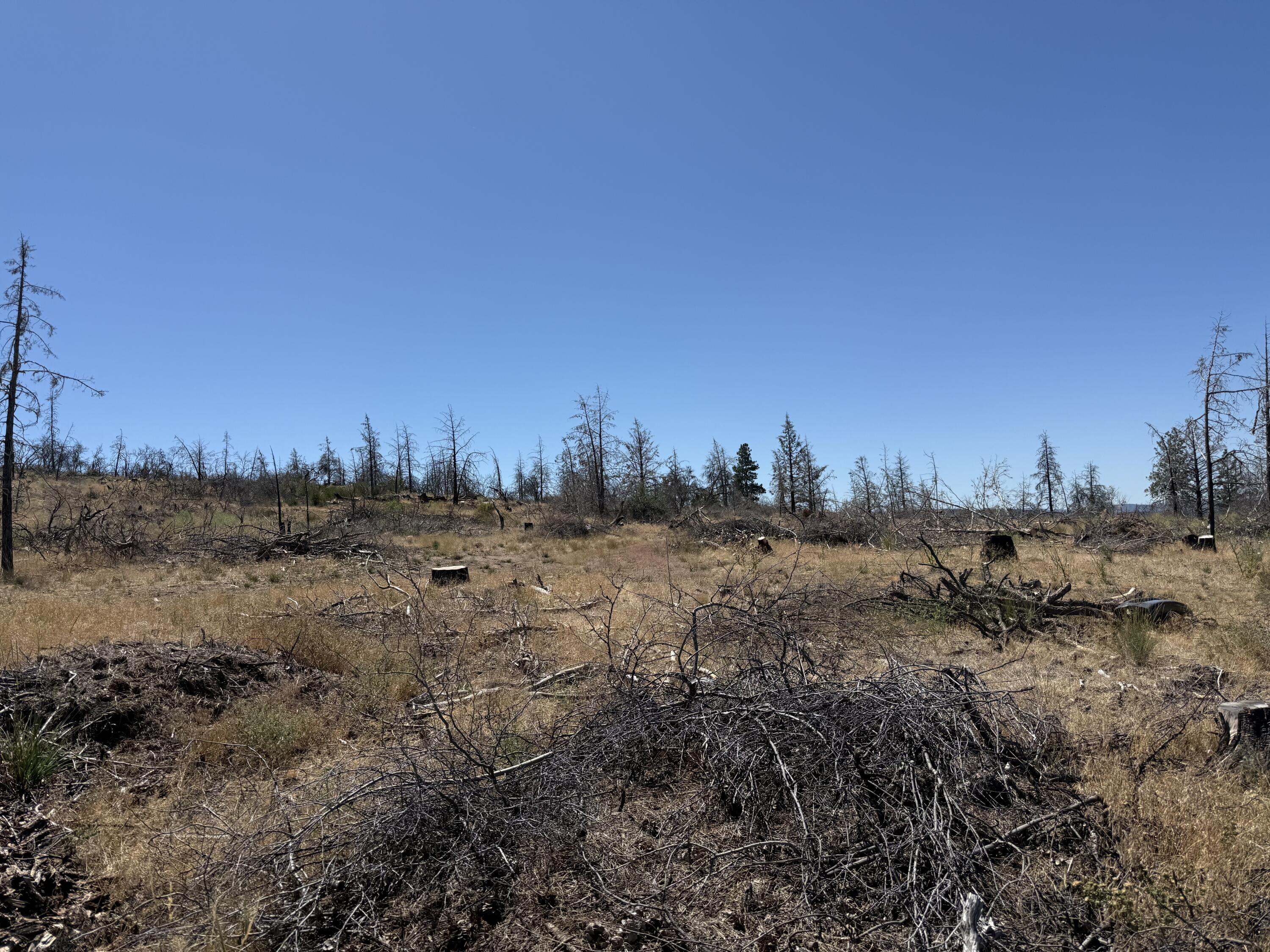 Klamath Falls Forest Estates Hwy 66 Unit Plat 4 - Land