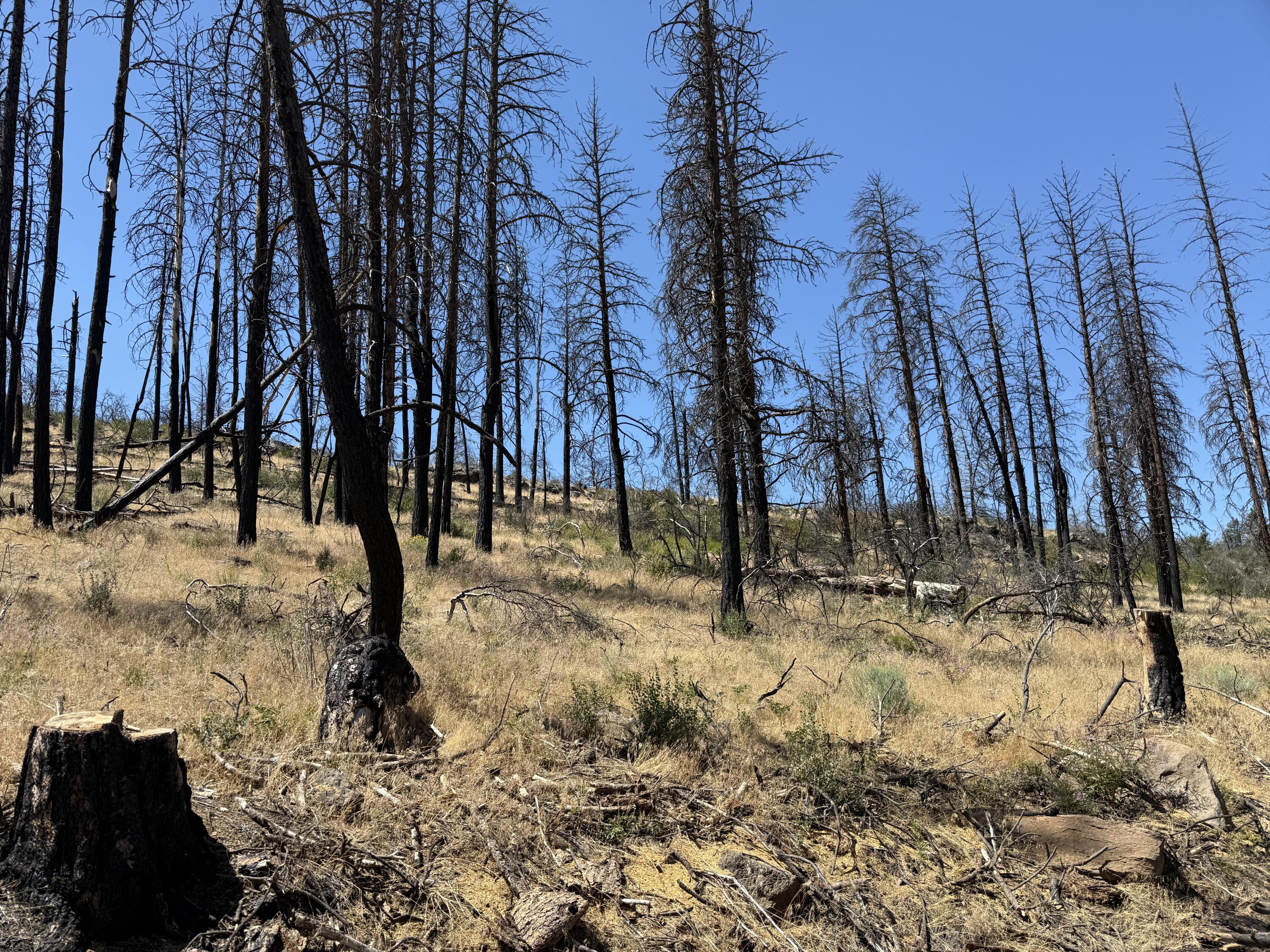 Klamath Falls Forest Estates Hwy 66 Unit Plat 4 - Land