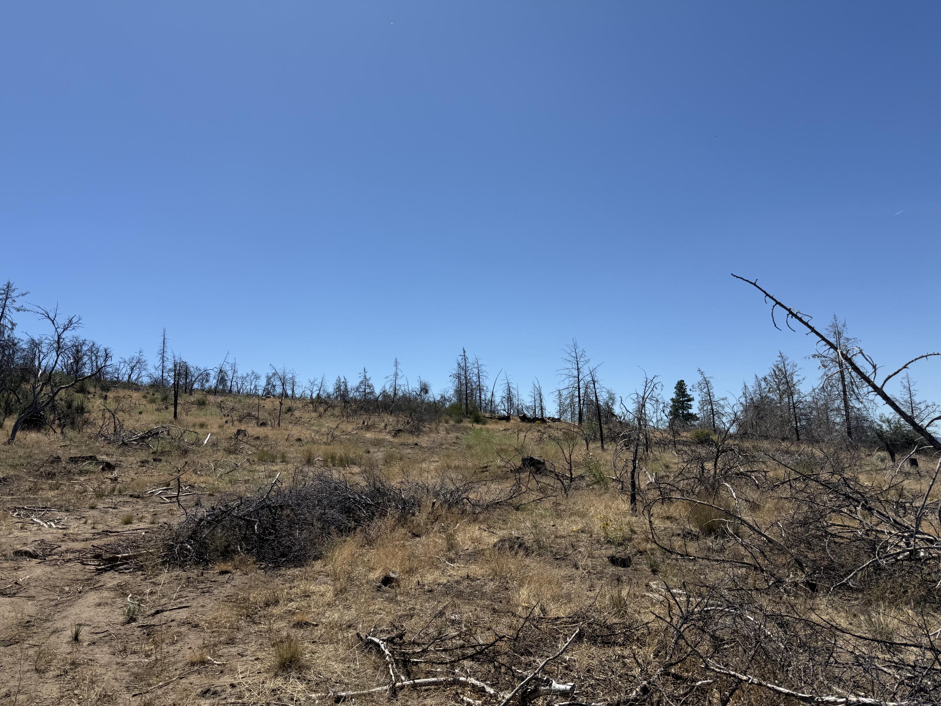 Klamath Falls Forest Estates Hwy 66 Unit Plat 4 - Land